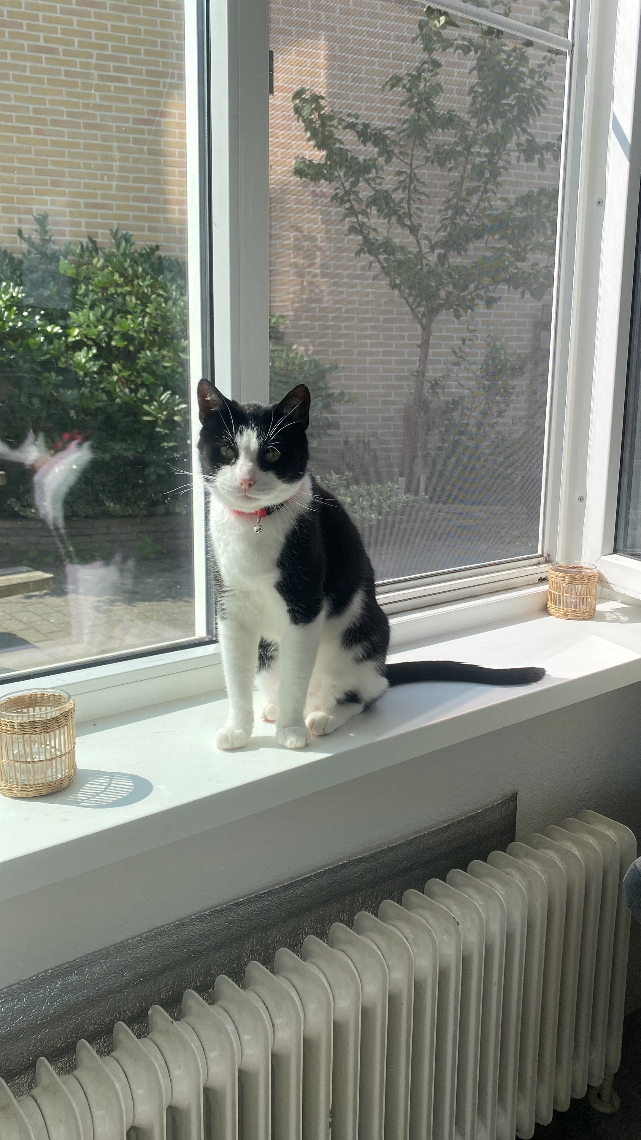 Japie - Zuiderweg, Hoogkerk