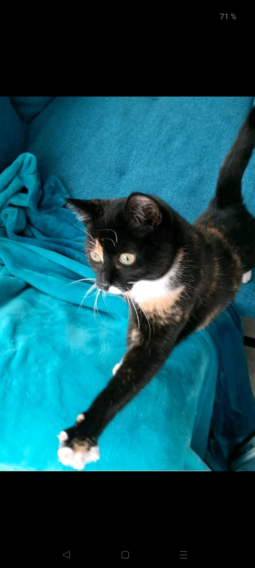 Oxana - Lilli-Kurowski-Straße, München