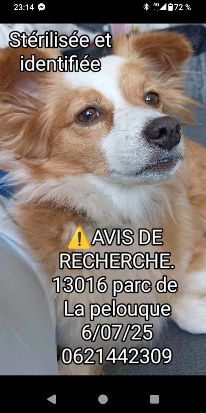 Lola - Chemin De La Pelouque, Marseille