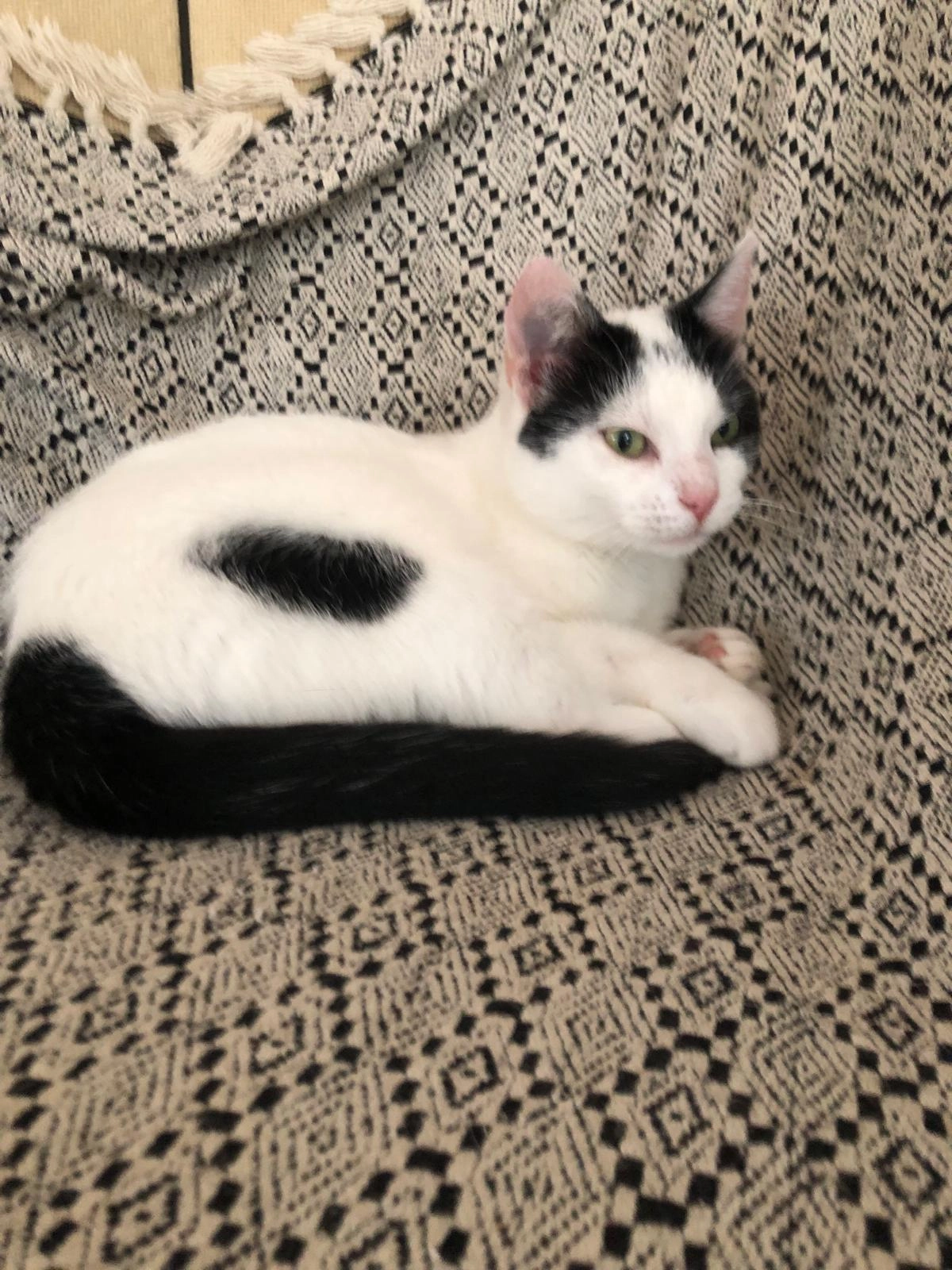 Popke - Lebuinusstraat, Doetinchem