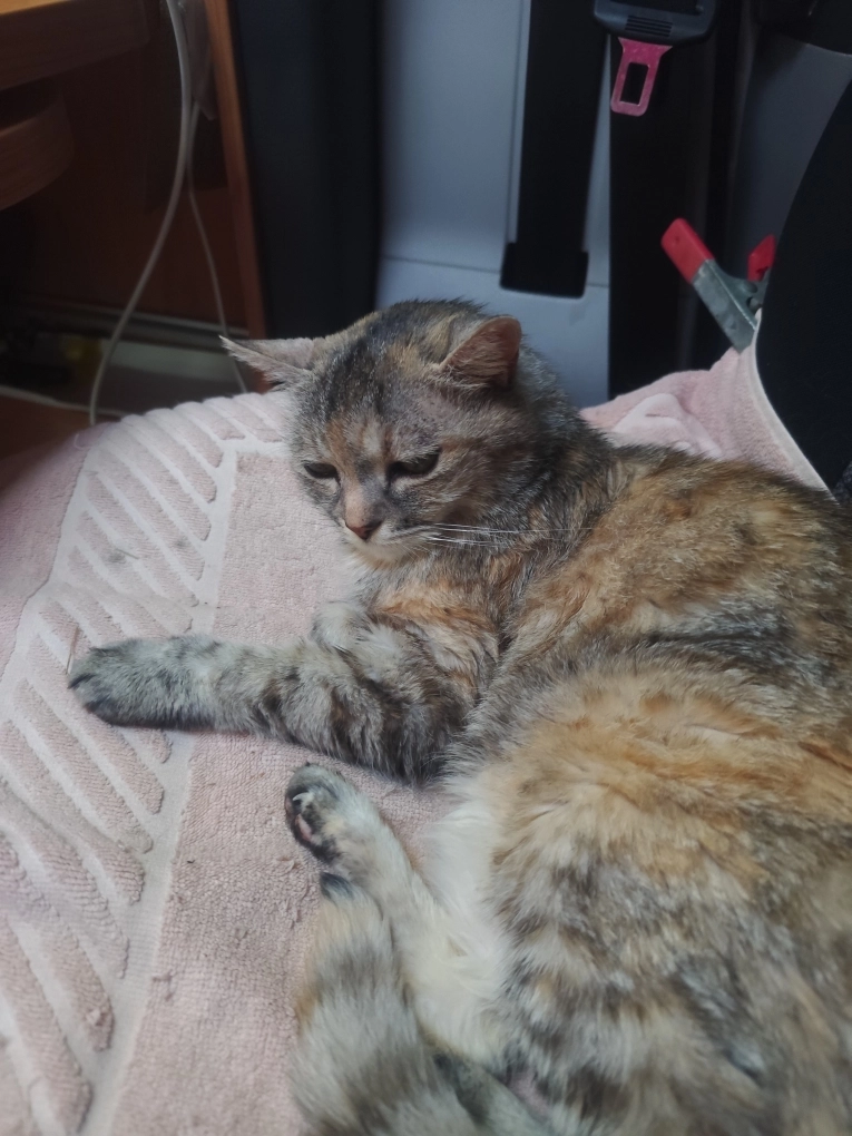 Nounoune  - Le Poste, Vias