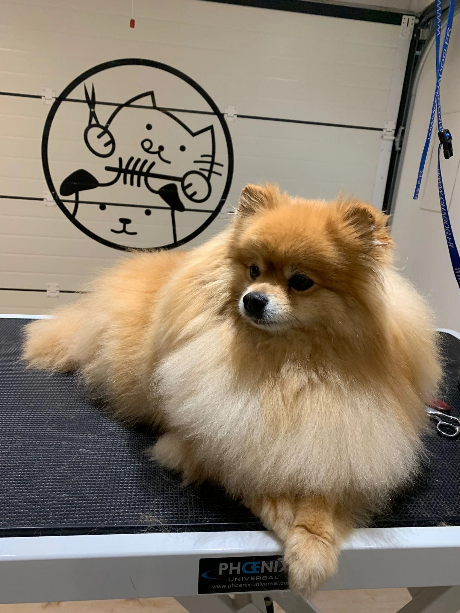 Orion - Route De Cébazat, Blanzat