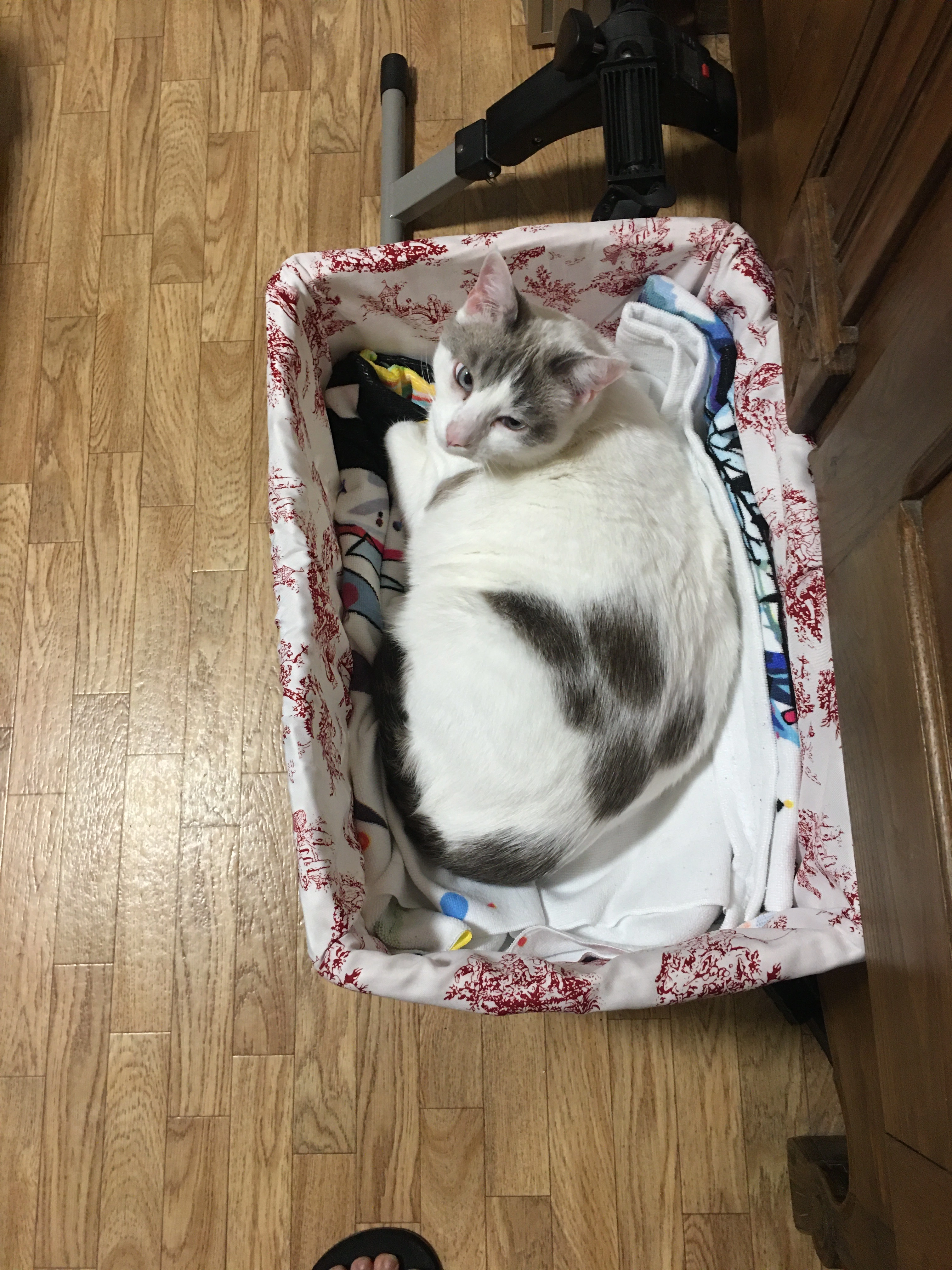 Nougat - Route De Saint-Barthélemy, Biaudos