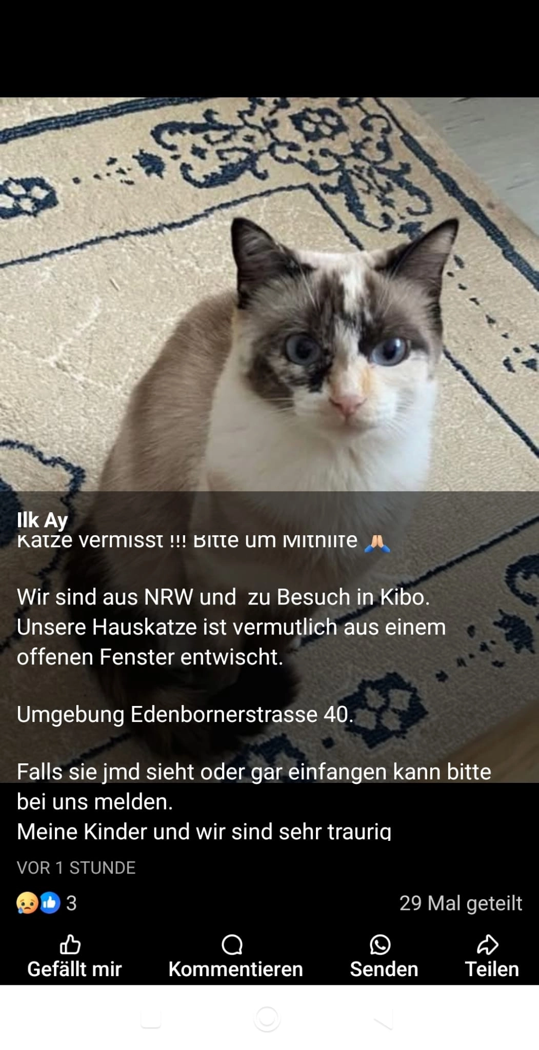 Kaya - Edenbornerstraße, Kirchheimbolanden