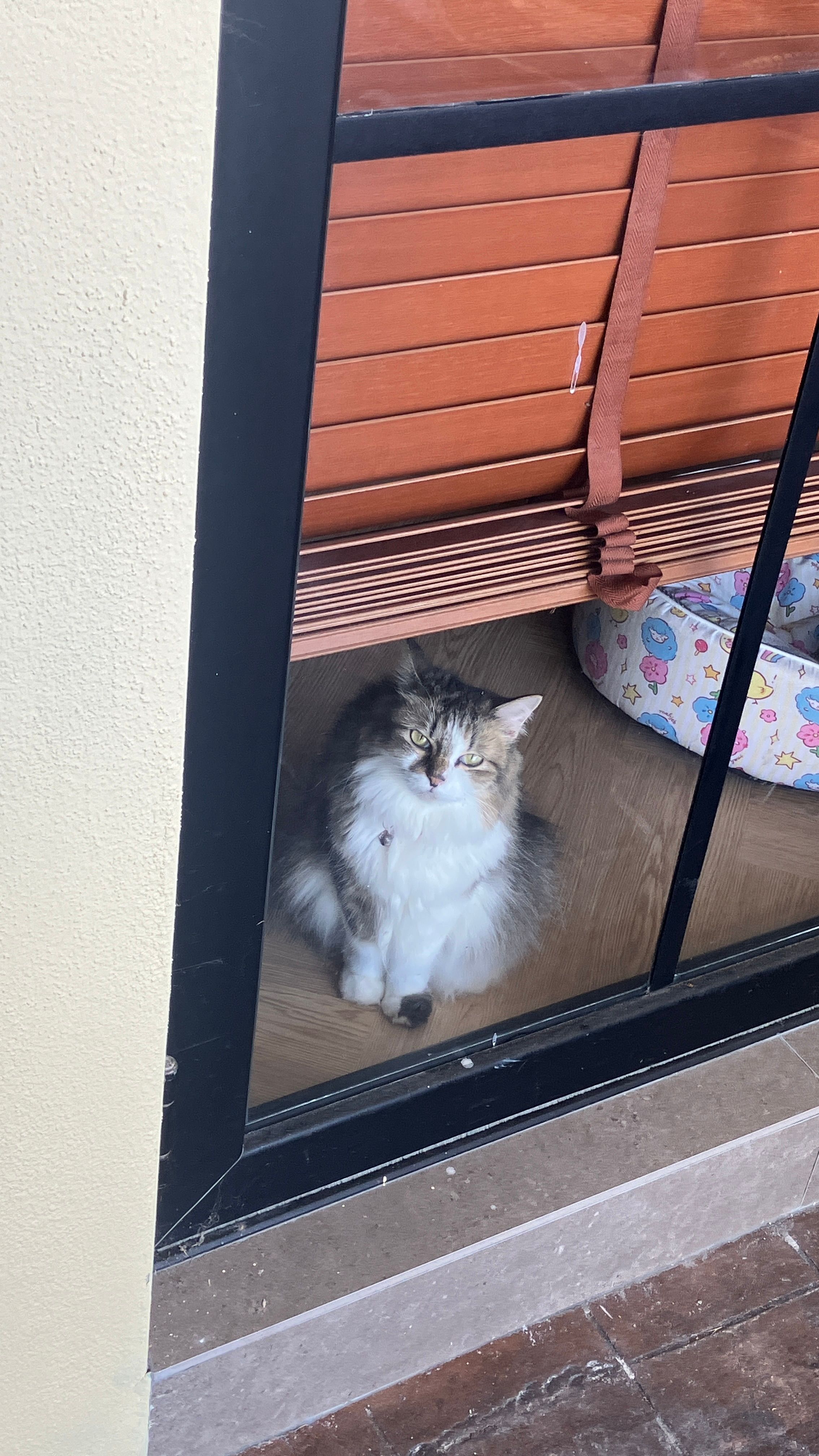 Abby gurl - Jalan Saujana Indah 3, Pekan Mambau