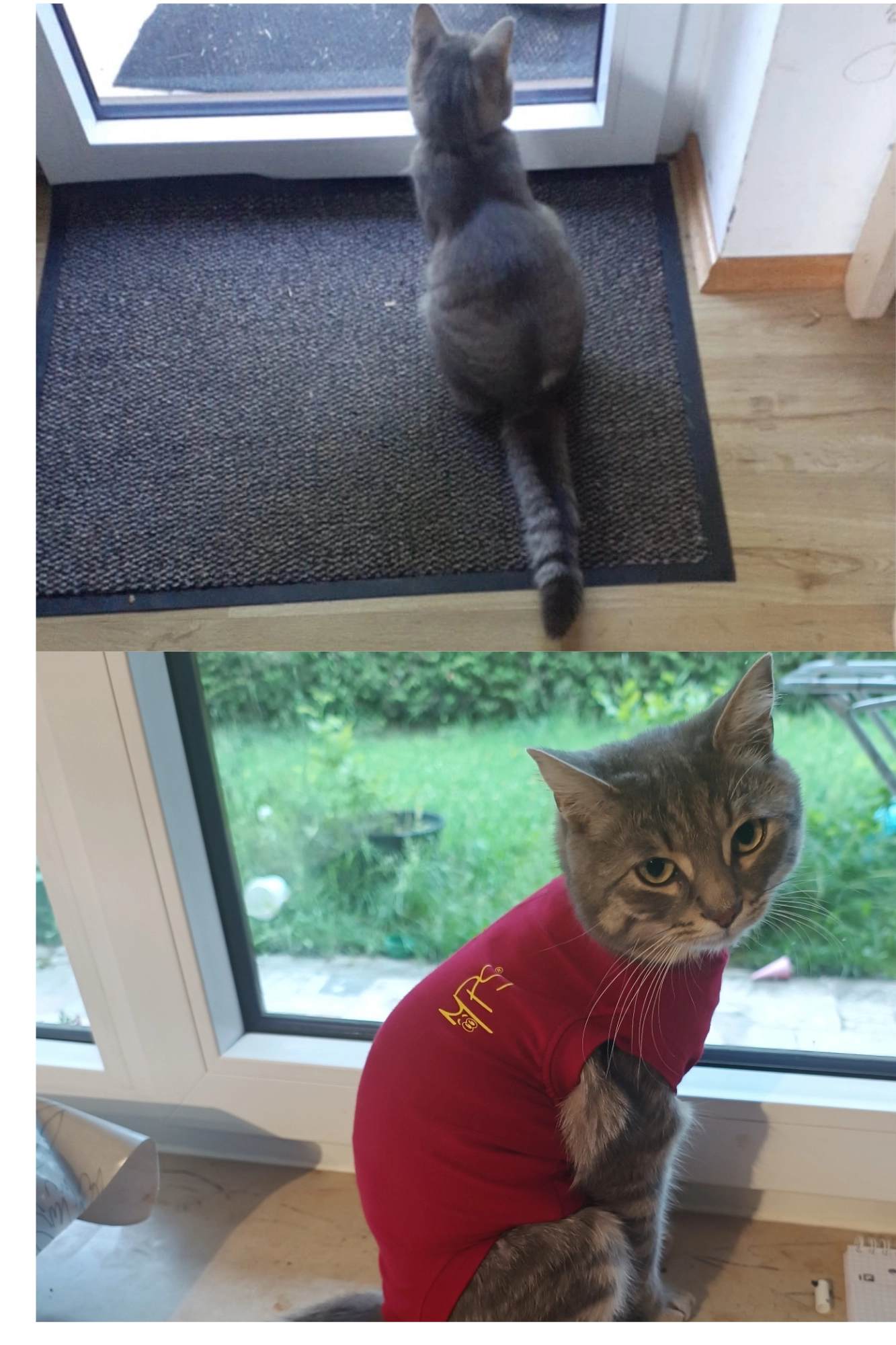 Mitty - Achenfeldstraße, Garmisch-Partenkirchen