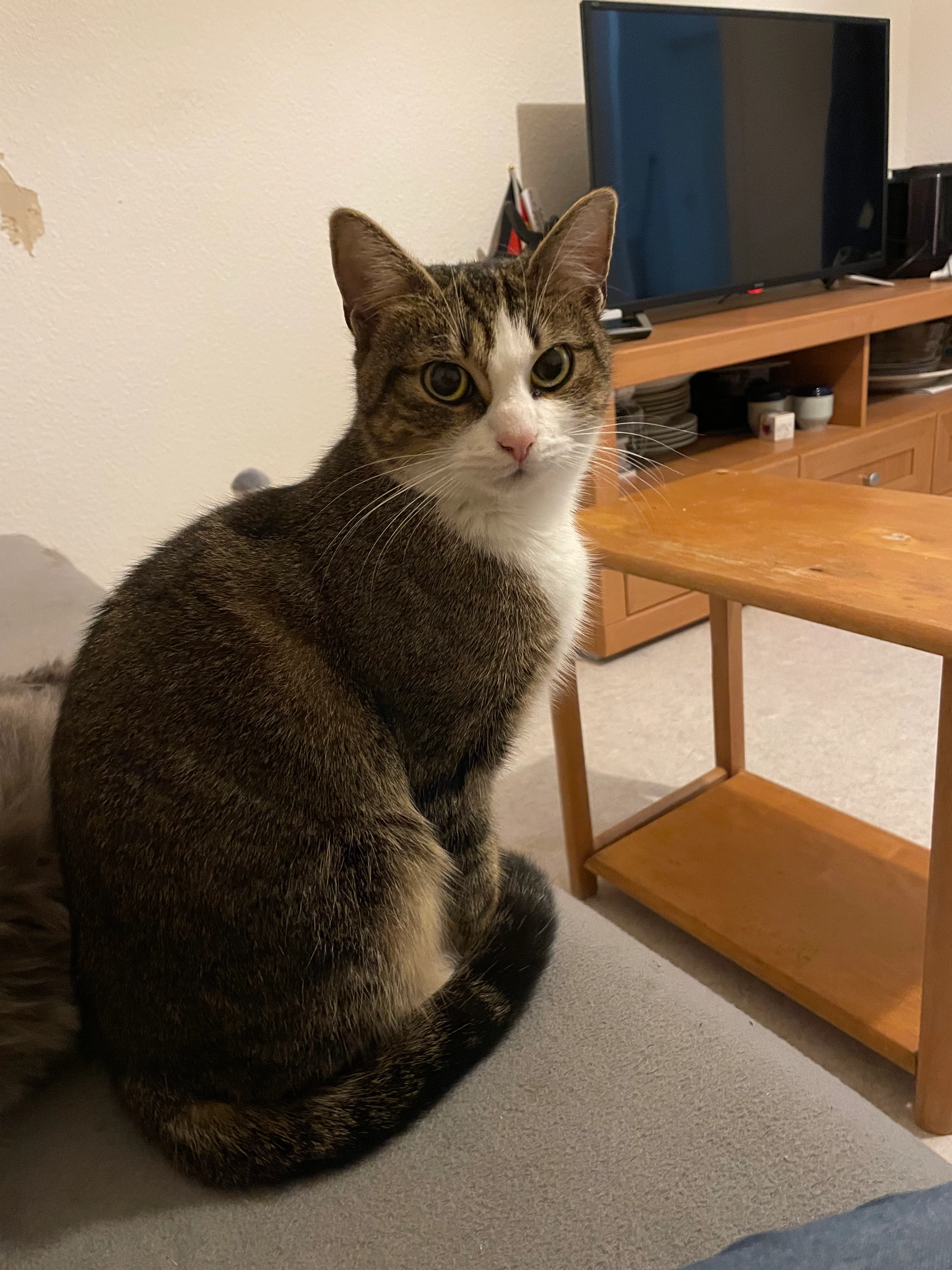 Tina - Maxim-Gorki-Straße, Eisenhüttenstadt