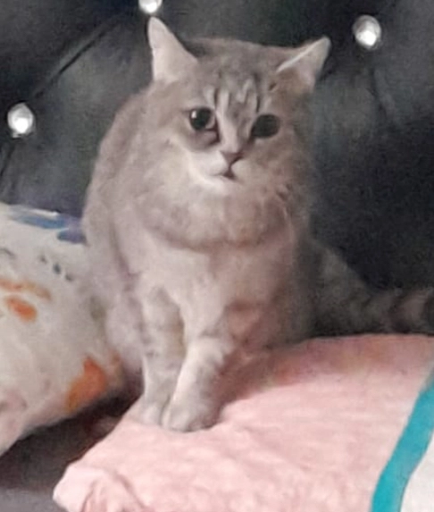 Lori - Im Kummetsbrüchle, Kraichtal