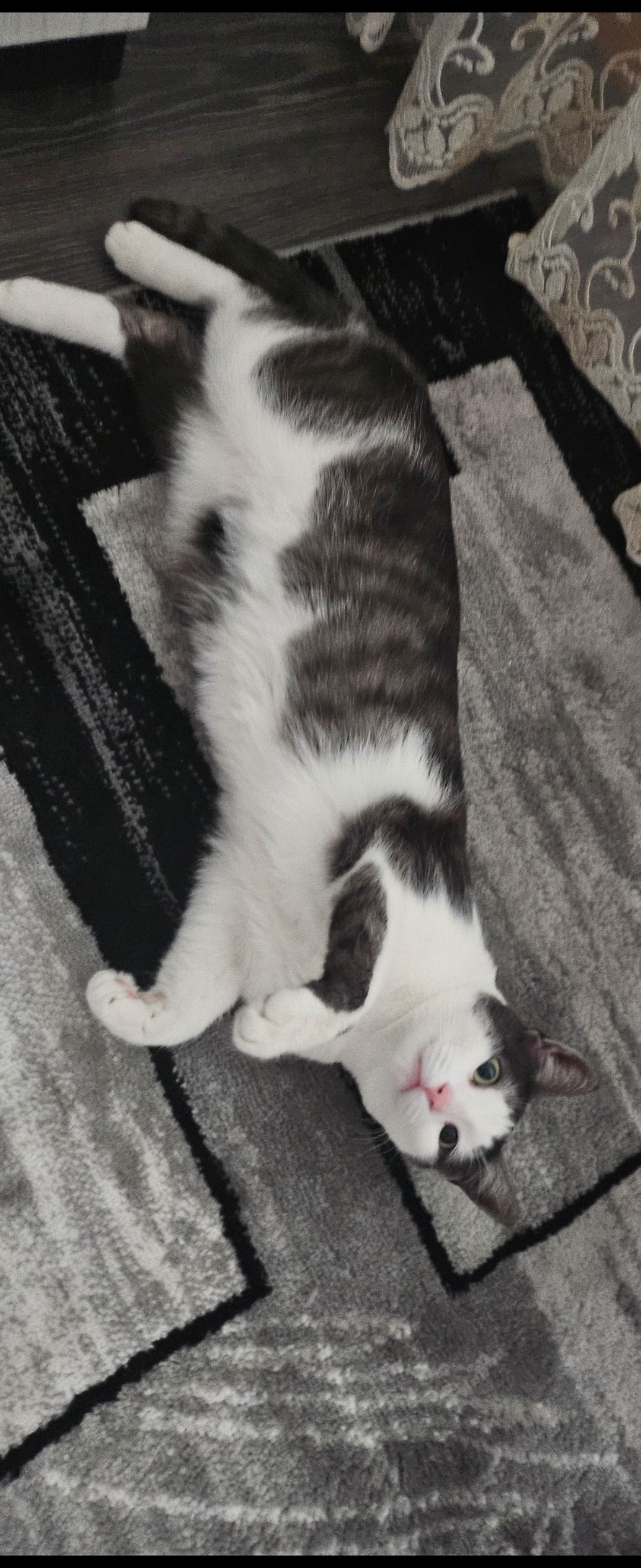 Kira - Strada Eugen Stătescu, Iași