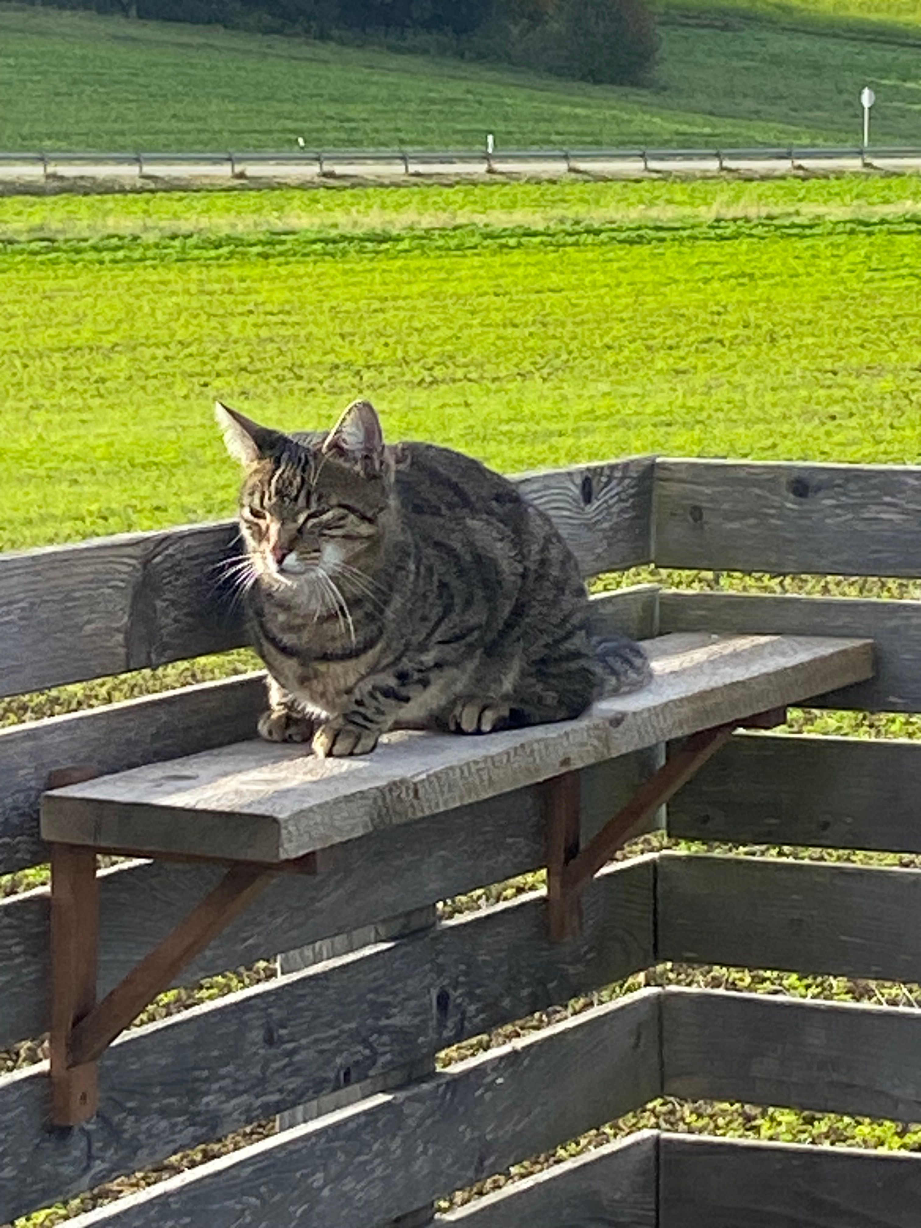 Xaver - Dorfstraße, Ergoldsbach