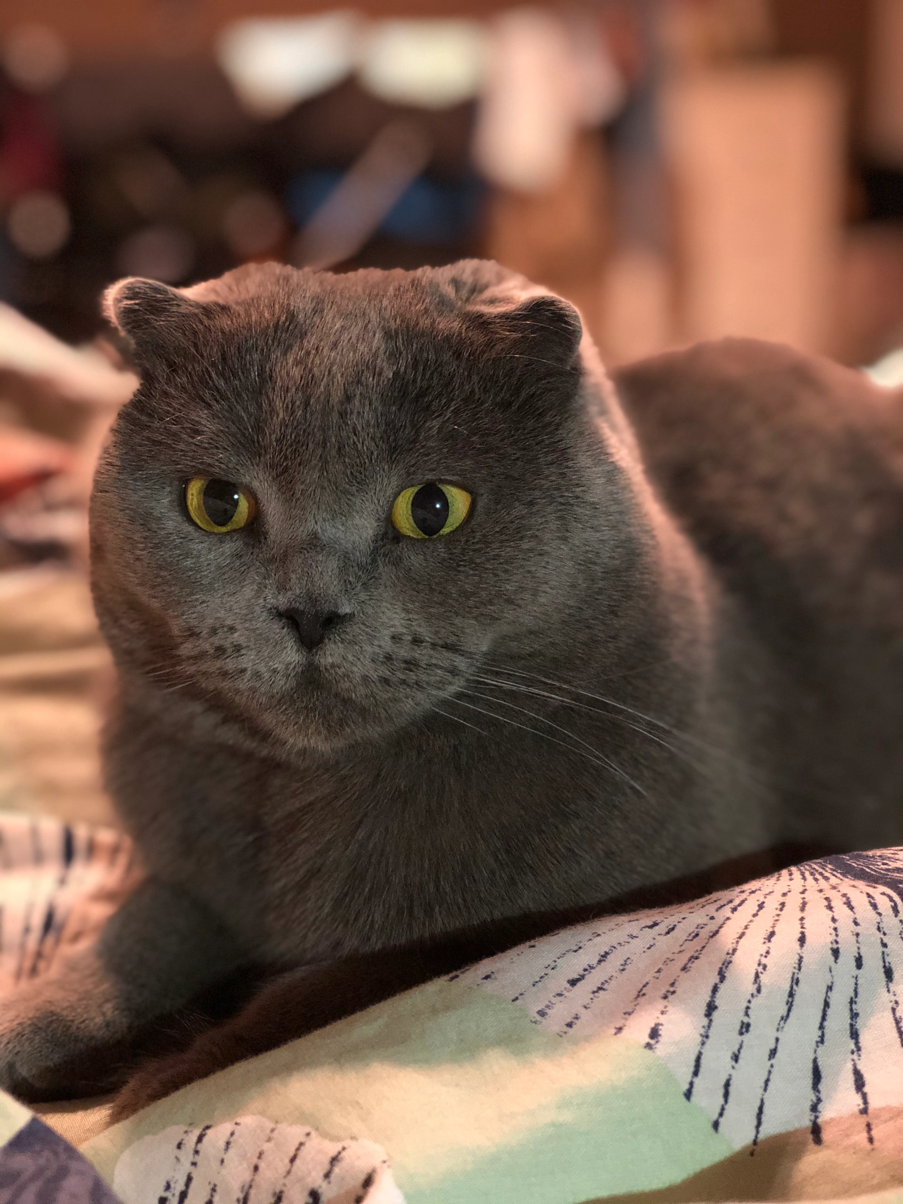 Milo - Sulzbergstraße, Lahr