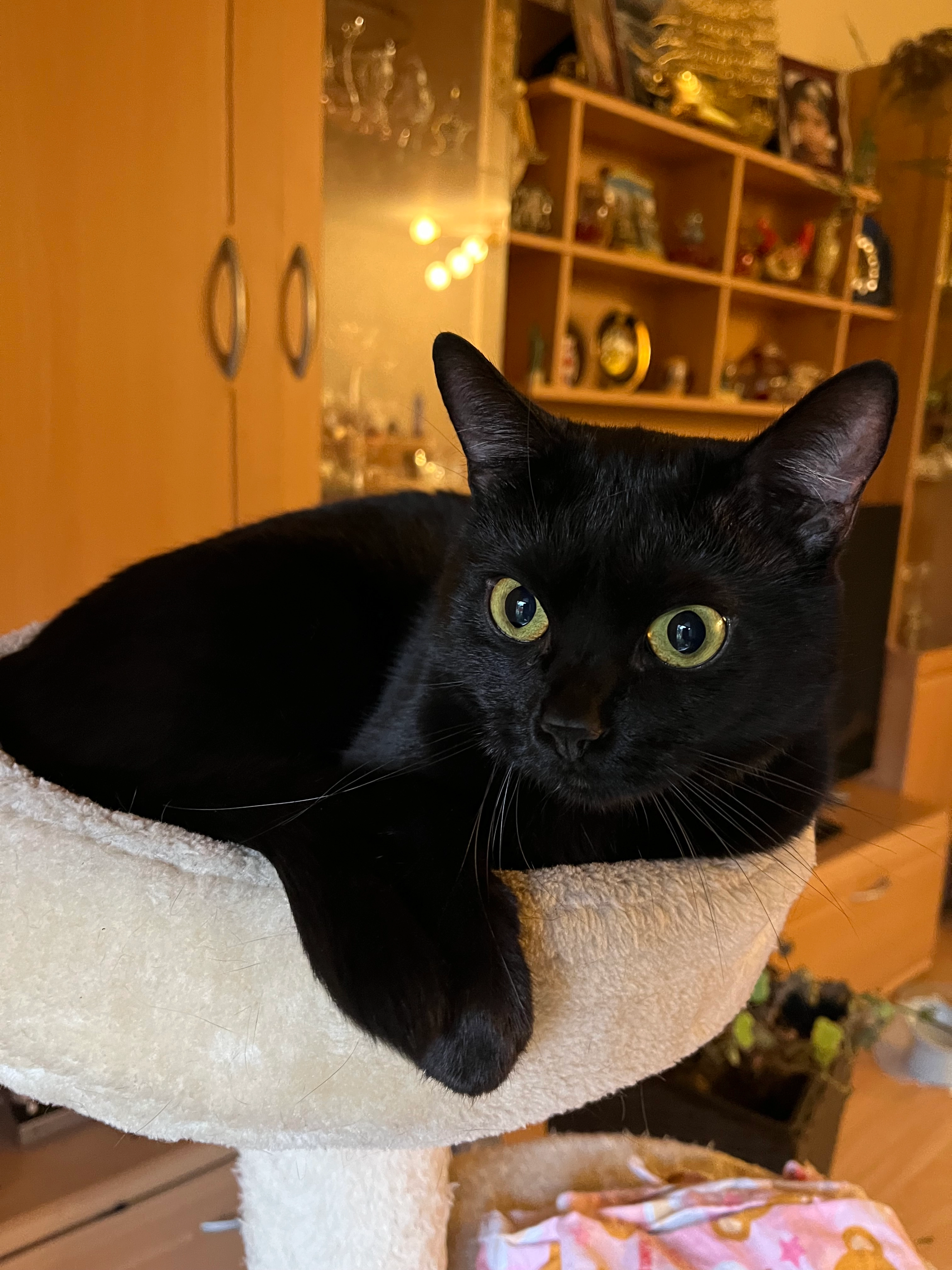 Nuri - Theodor-Heuss-Straße, Sulzbach an der Murr