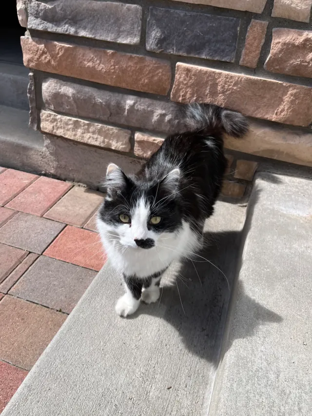 Stache - W Quincy Ave, Littleton
