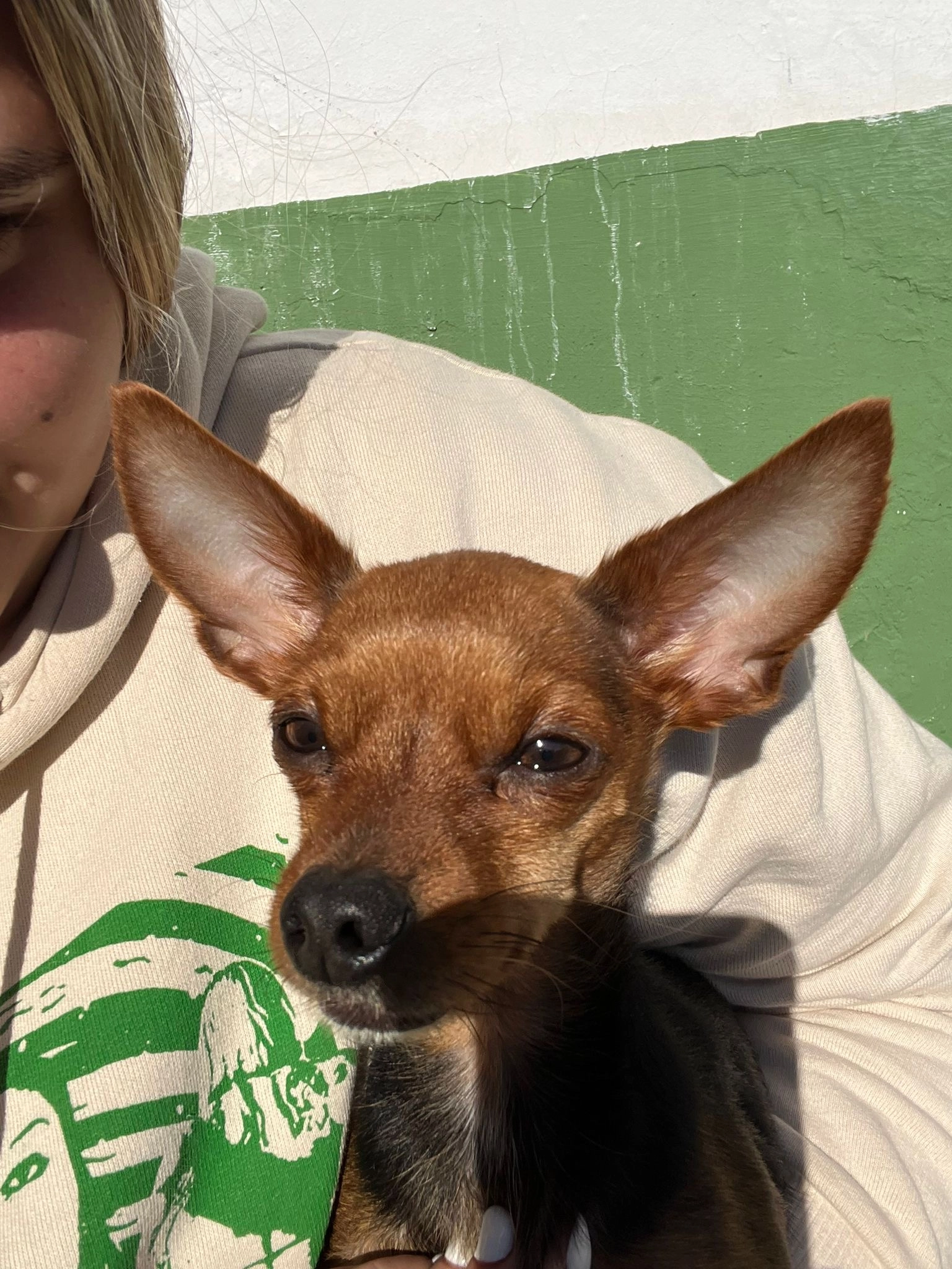 Luna - Calle Cristo De La Vera Cruz, Tomares