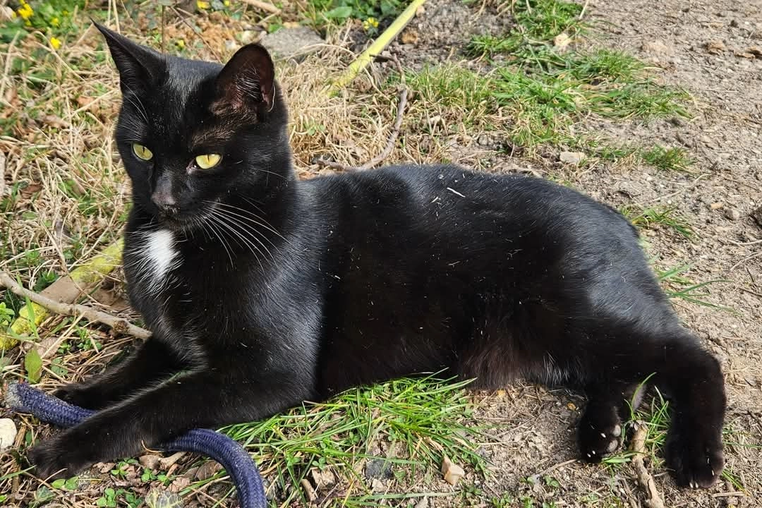 Crocmou - 1400 Route de Sierville, Fresquiennes