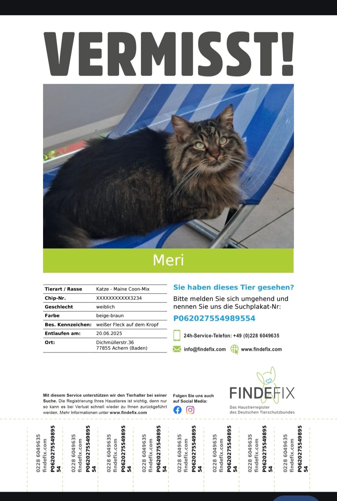 Meri - Dichmüllerstraße, Achern