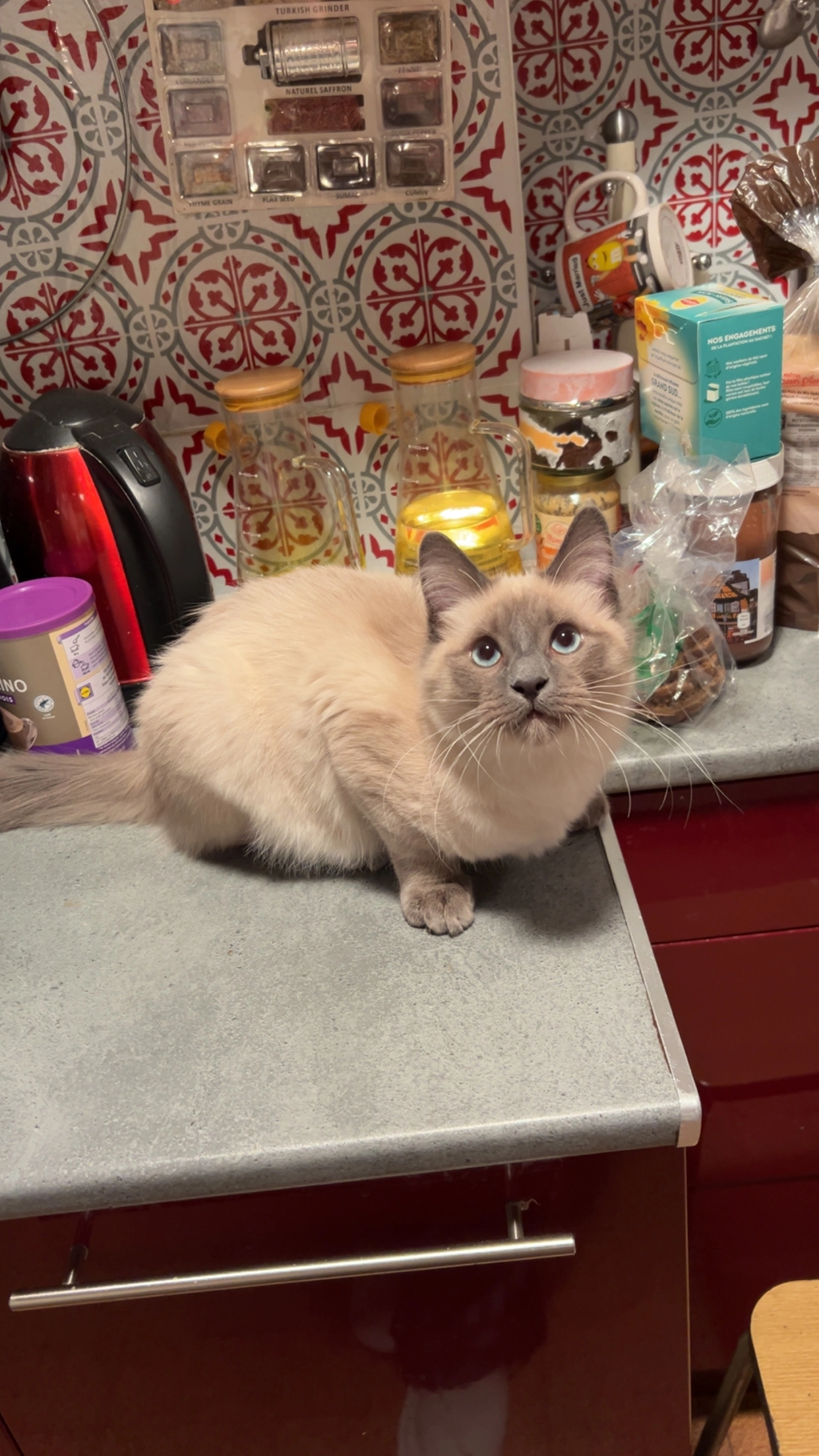 Caramel  - 3 Impasse des Fleurs, Pontault-Combault