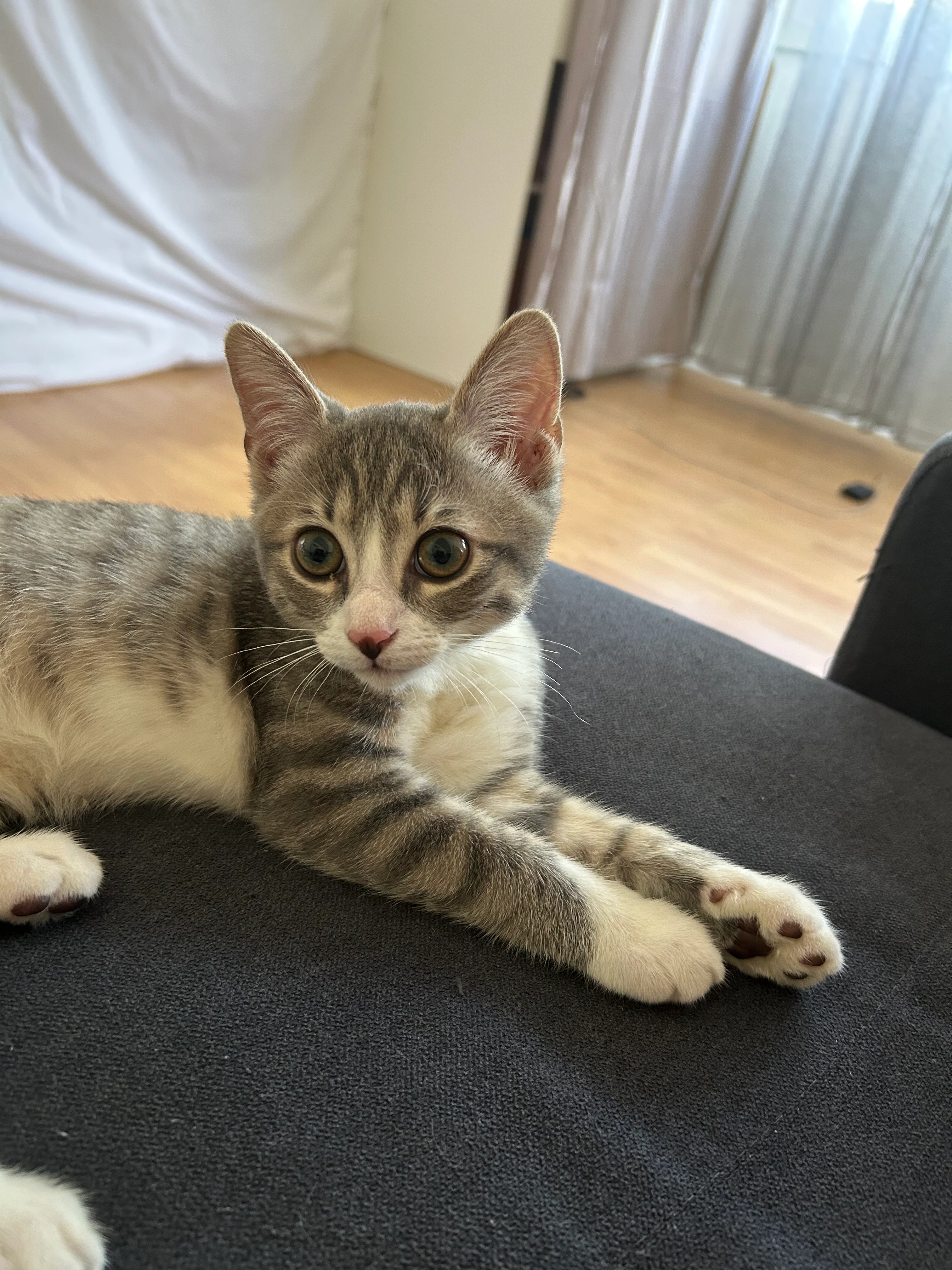 Mouggy - 22 Quai Saint-Laurent, Orléans