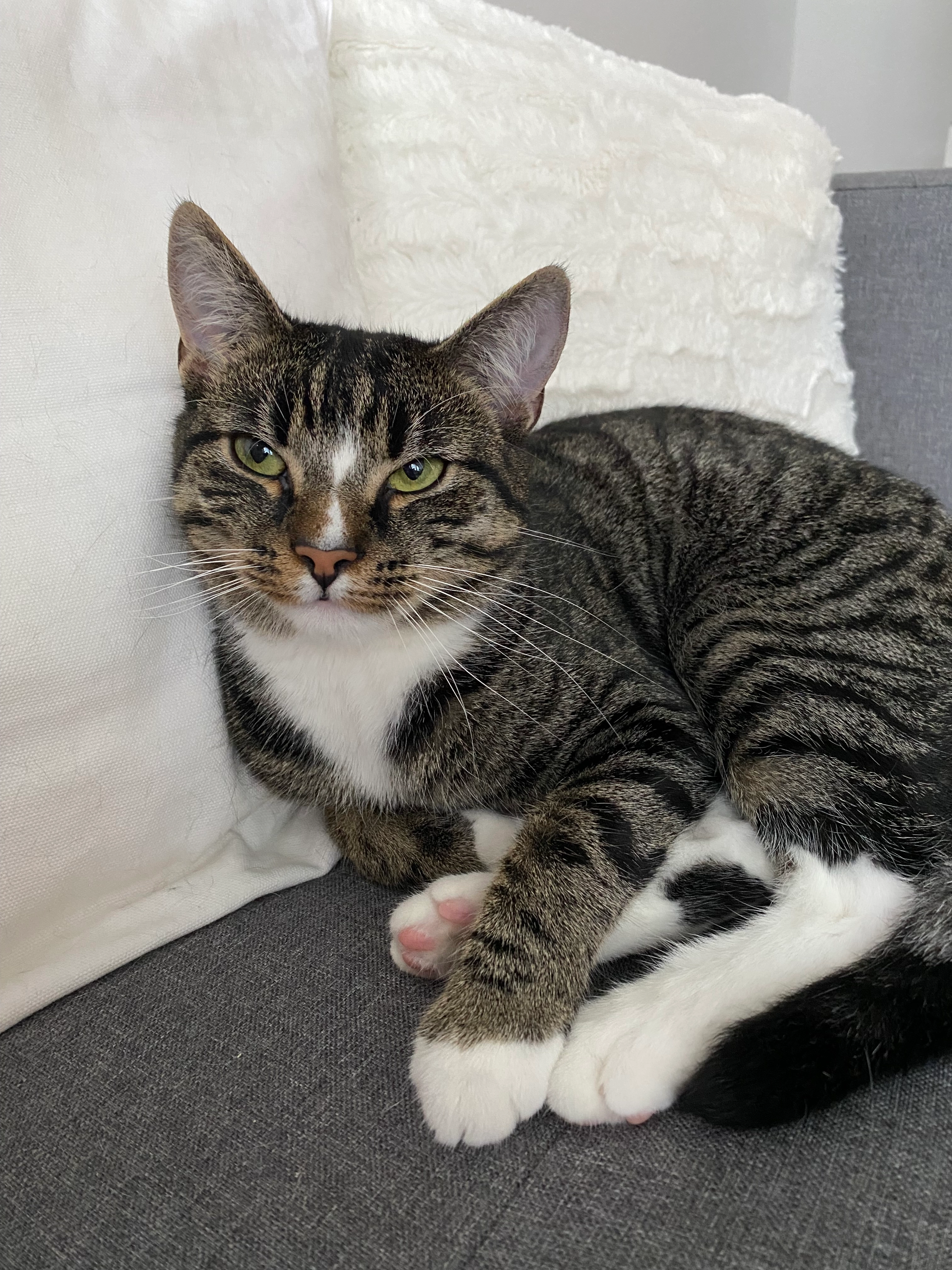 Martin - Hainholter Ohr, Elmshorn