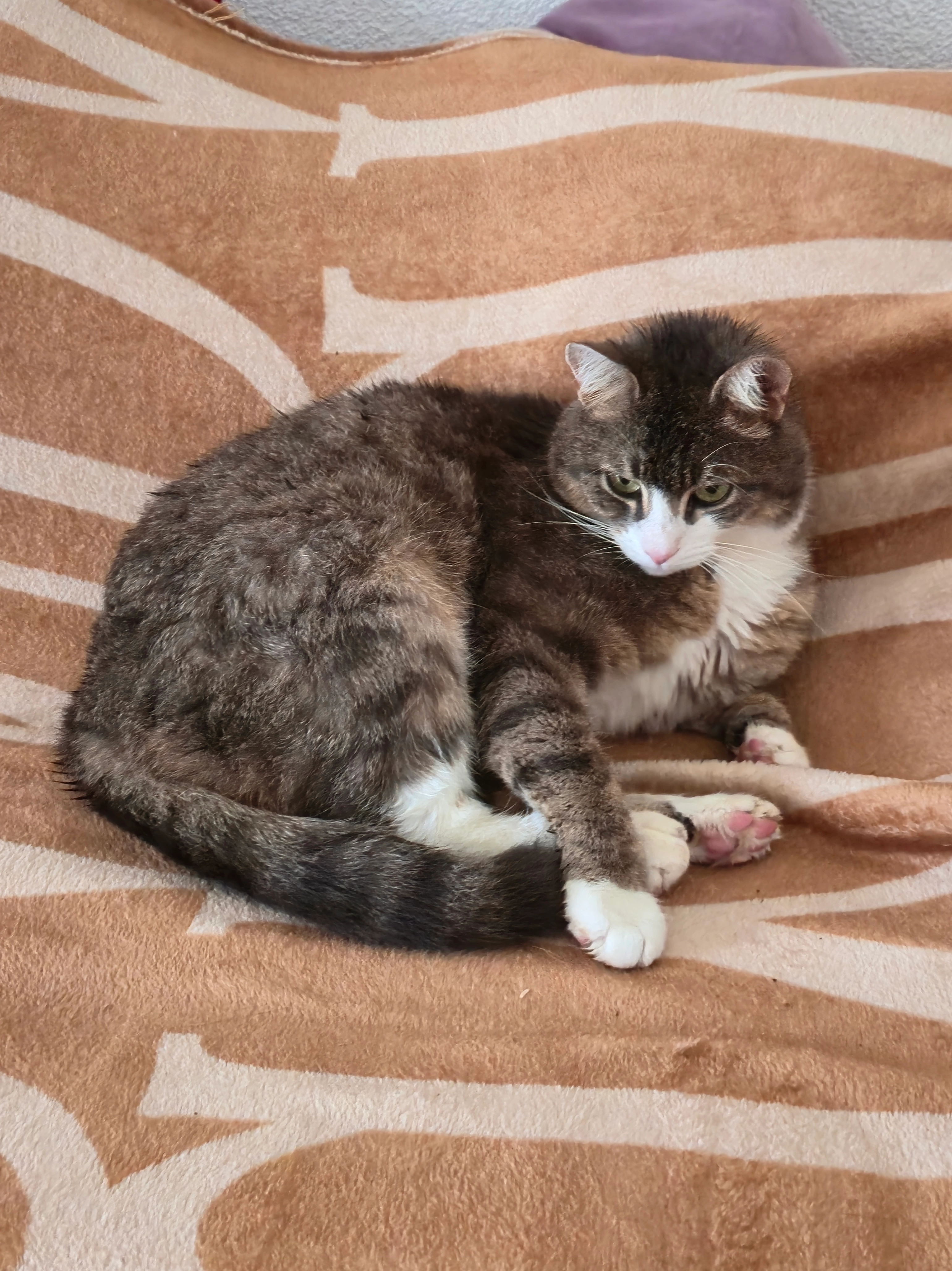 Leo - Rühligweg, Ühlingen-Birkendorf