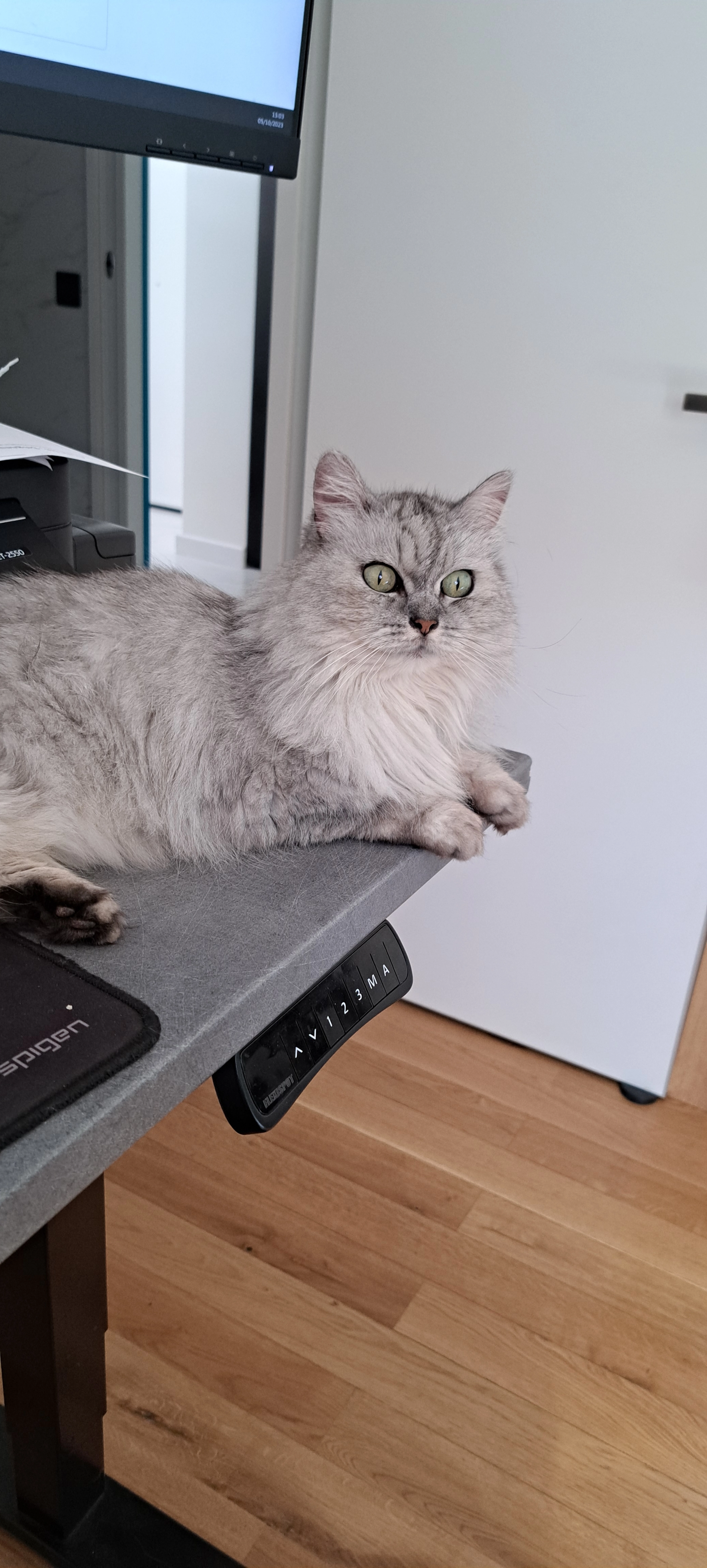 Darling - 24 Avenue Henry Musso, Nice