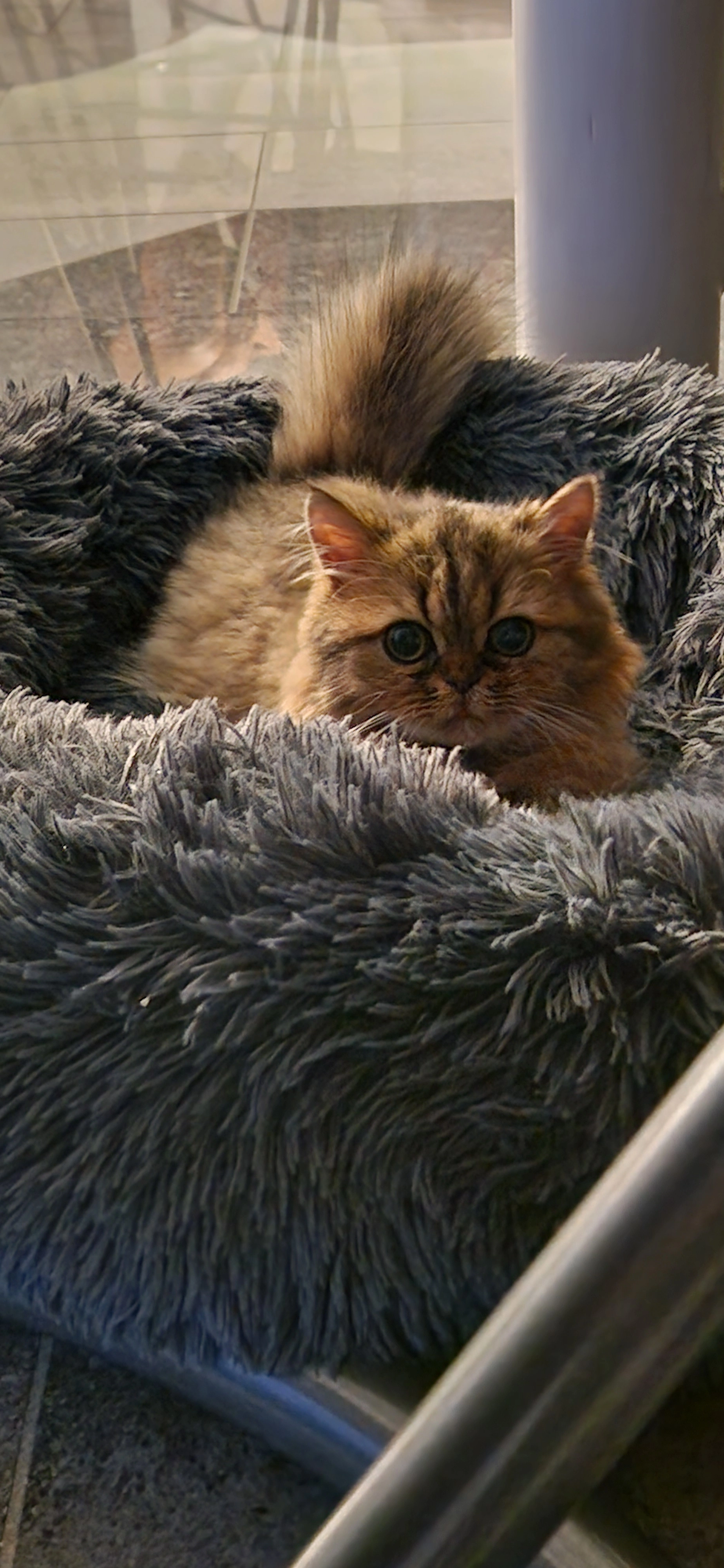 Luna - Mozartring, Wörth am Main