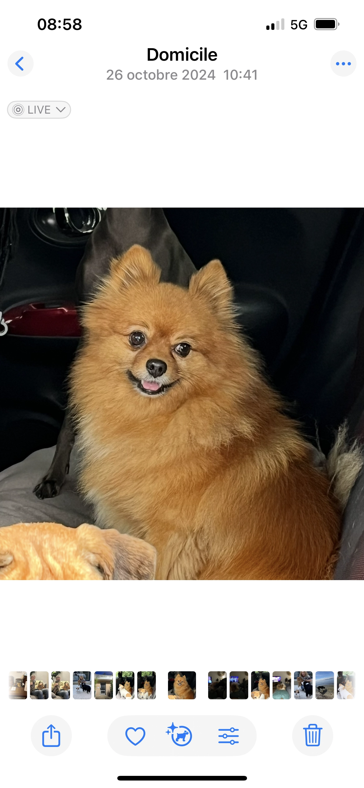 Magnum - 3275 Route d'Avignon, Aix-en-Provence