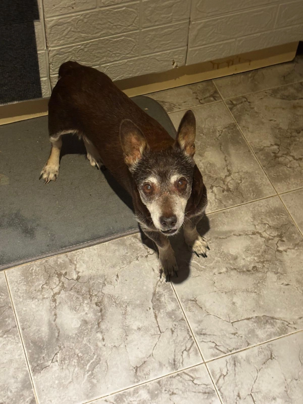 Piloto - Rua Da Liberdade (perto da paragem do autocarro ao pé do parque verde), Fernão Ferro