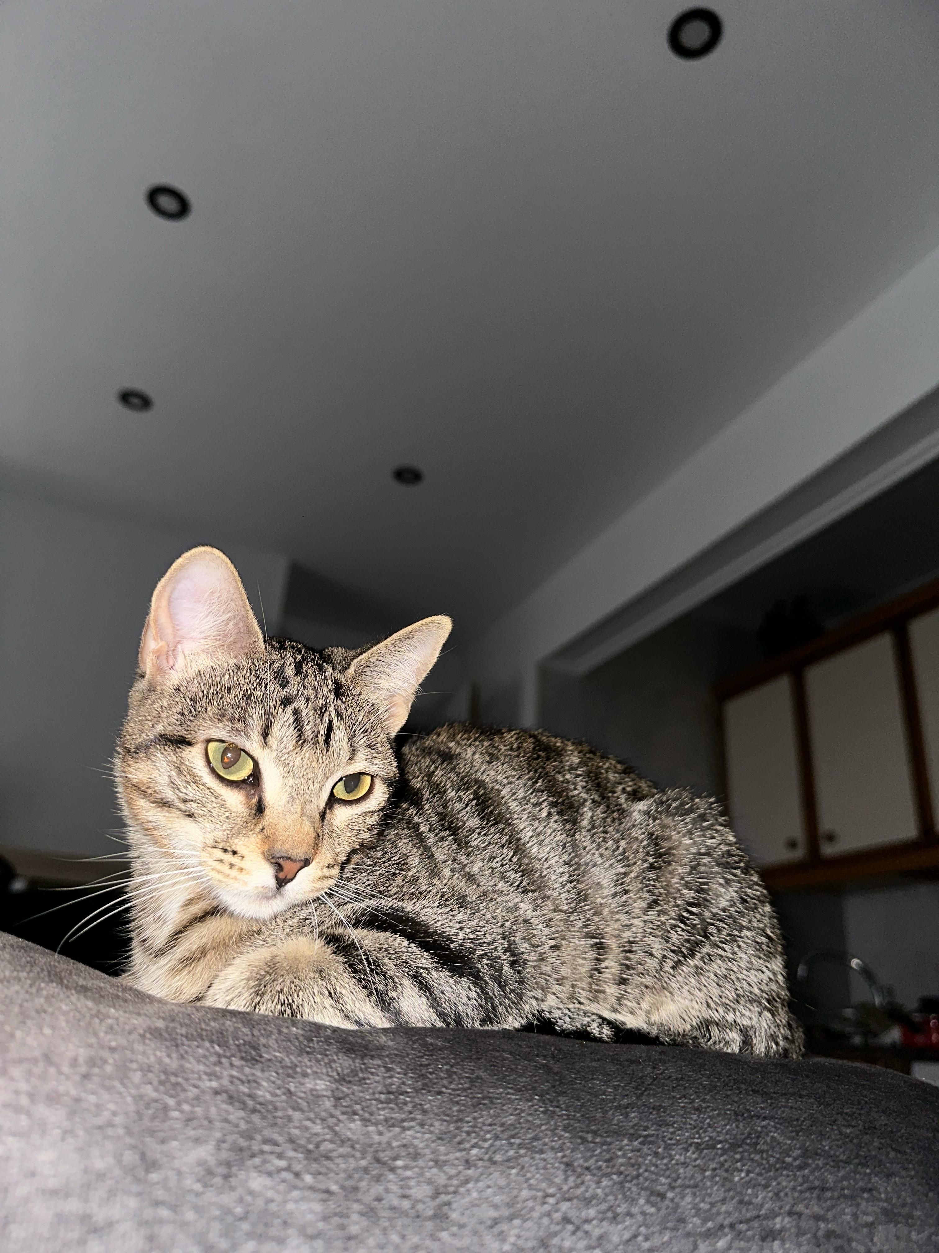 Loki - Calle Llano, Barakaldo