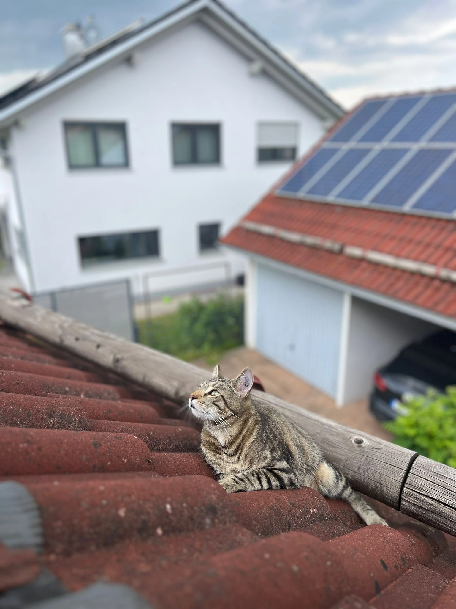 Findus - Alemannenstraße, Pforzen