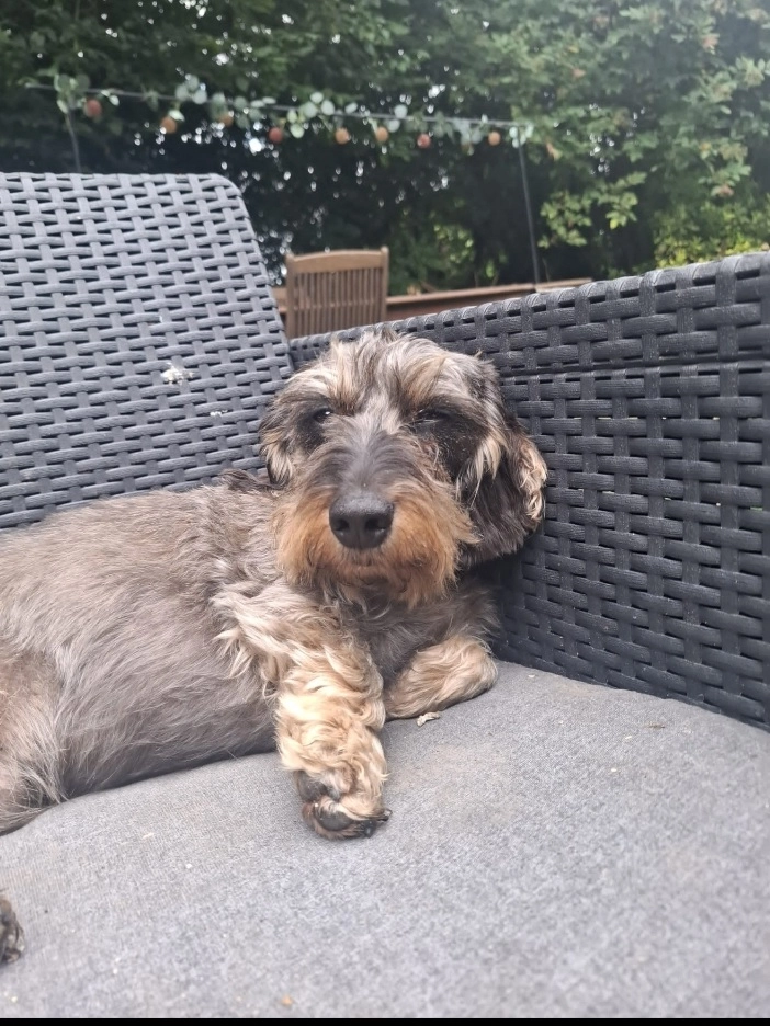 Watson - Rue du Quesnoy, Péruwelz