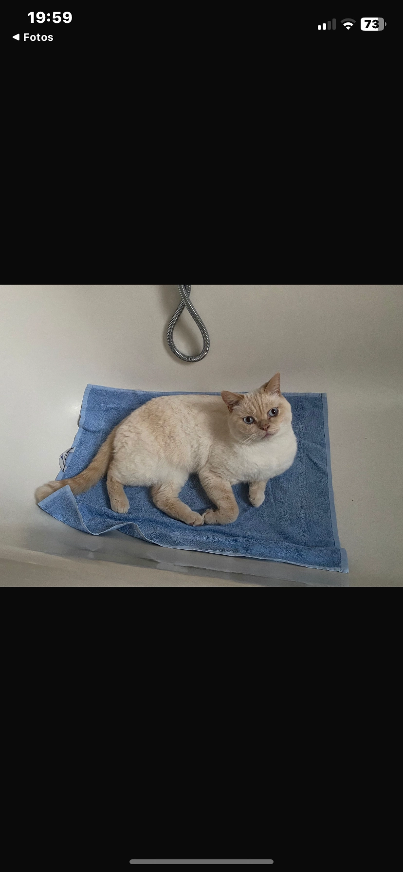 Whity - Johann-Sebastian-Bach-Straße 14, Fürstenwalde/Spree