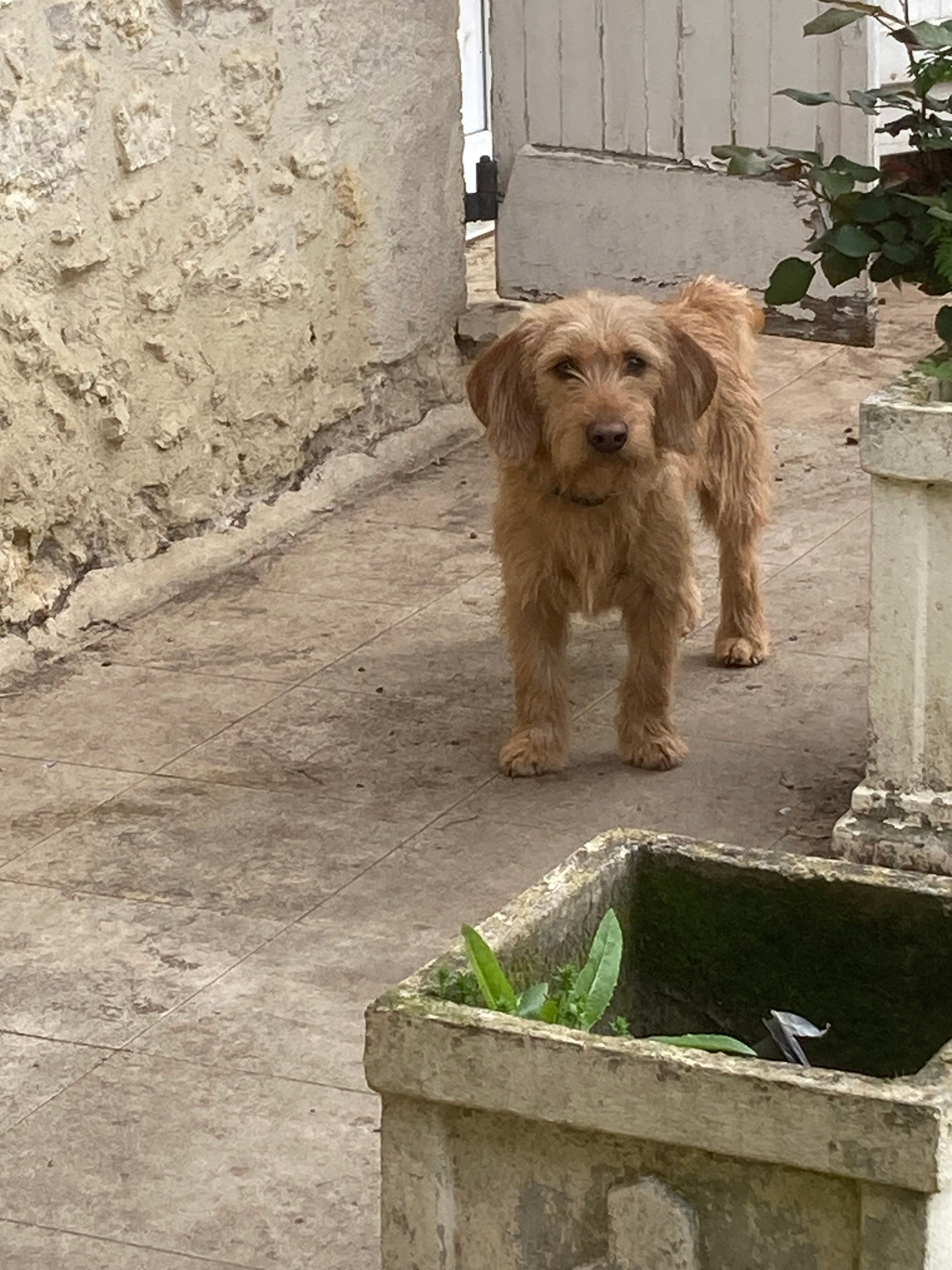 Sam et Ugo - D 15, Montréal