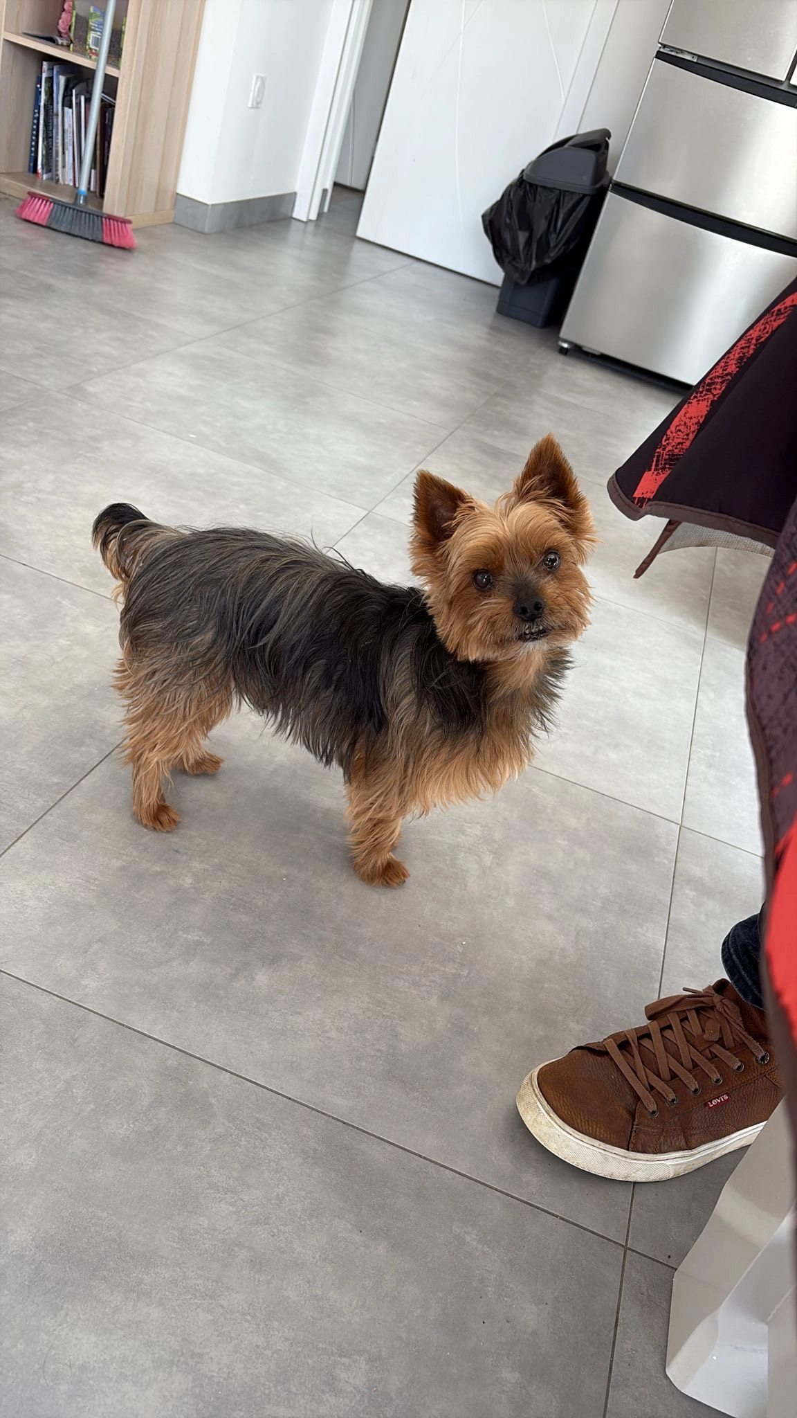 Joé - 49 Chemin des Vignes, Saint-Jean-de-Monts