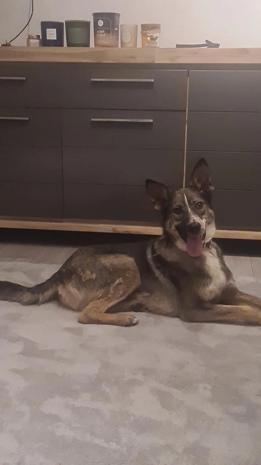 Ekko - Augustenburger Ufer, Hamburg