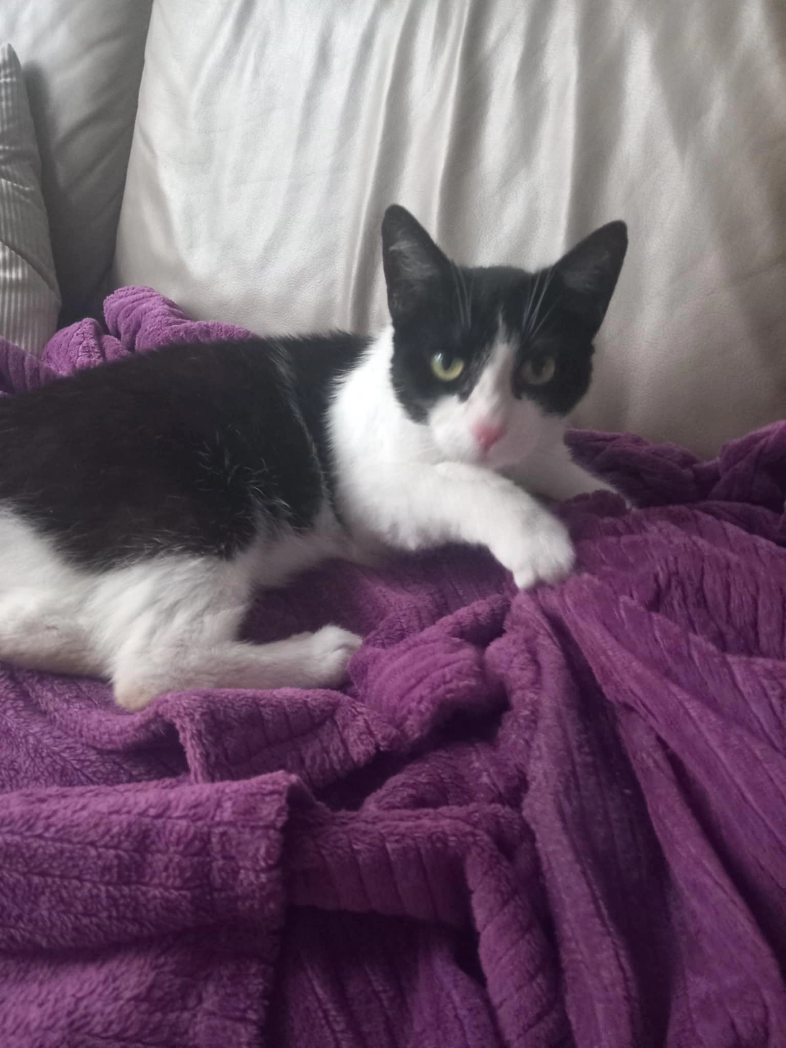 Livai - Rue de Tourcoing, Mouscron