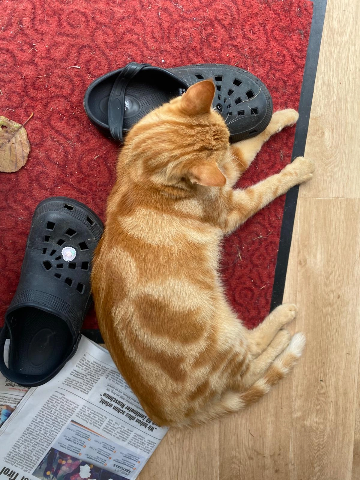 Charly - Bahnhofstraße, Großkarolinenfeld