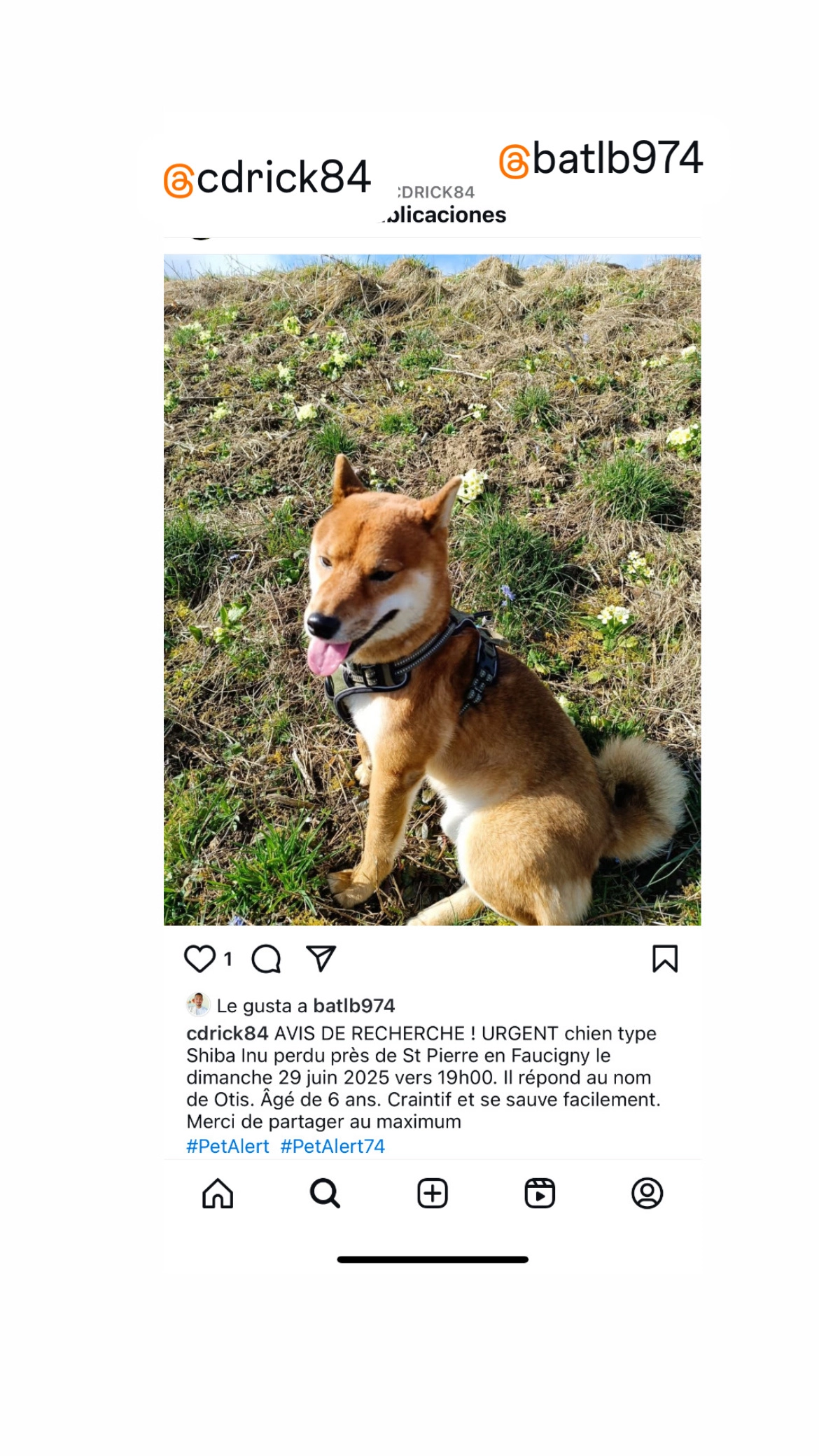 Otis - Rue du Foron, La Roche-sur-Foron