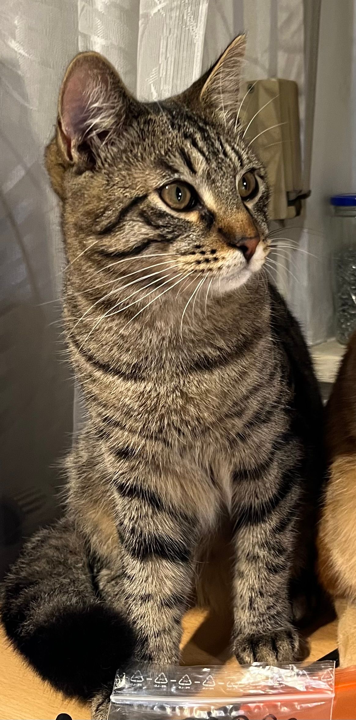 Loki - Tiefenstockheim, Seinsheim