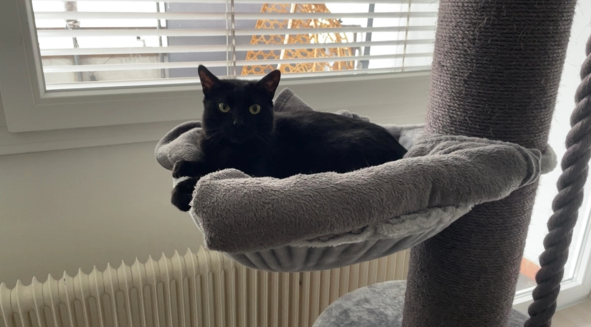 Felix - Stollenweg 9, Leoben