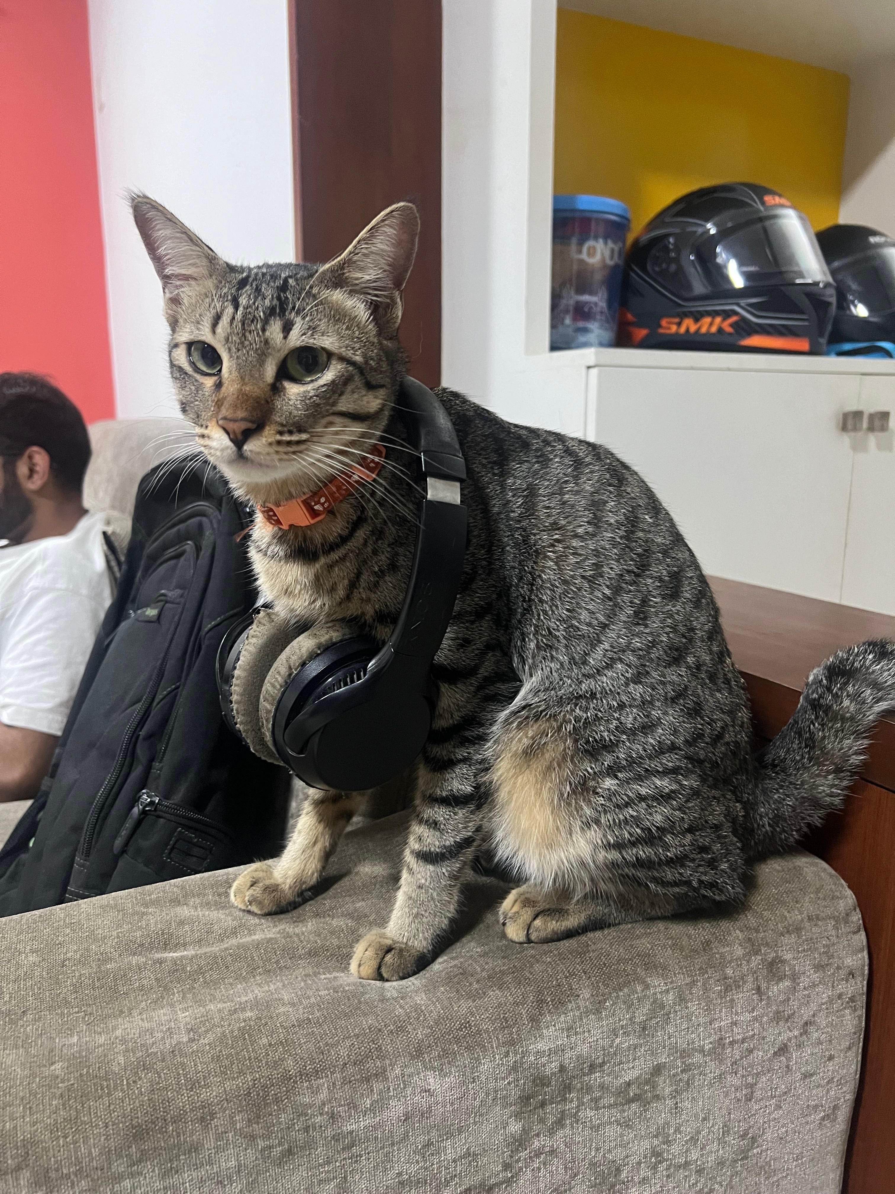 Naughty - Outer Ring Road, Bengaluru