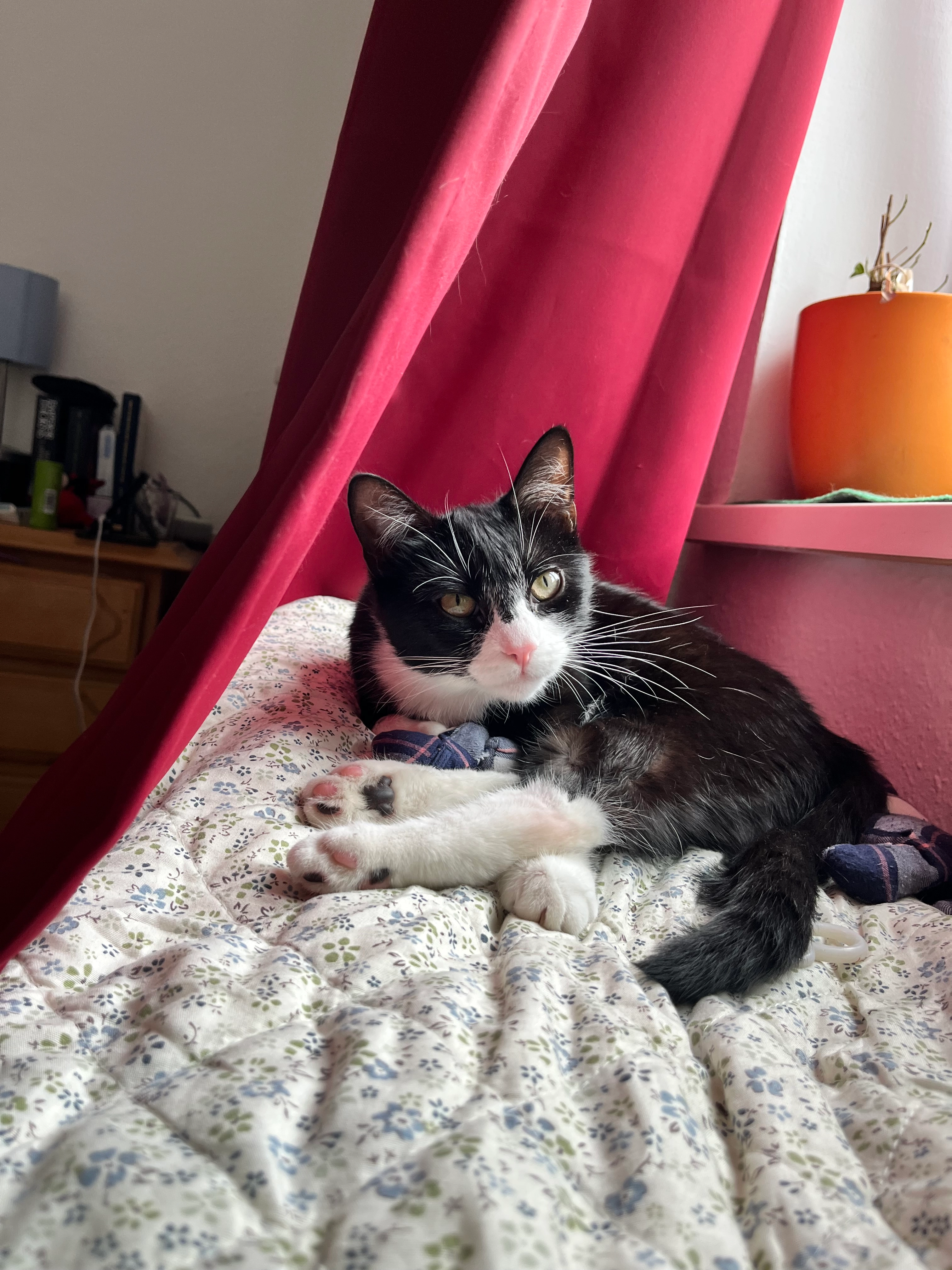 Freya - Mühlenstraße, Malchow