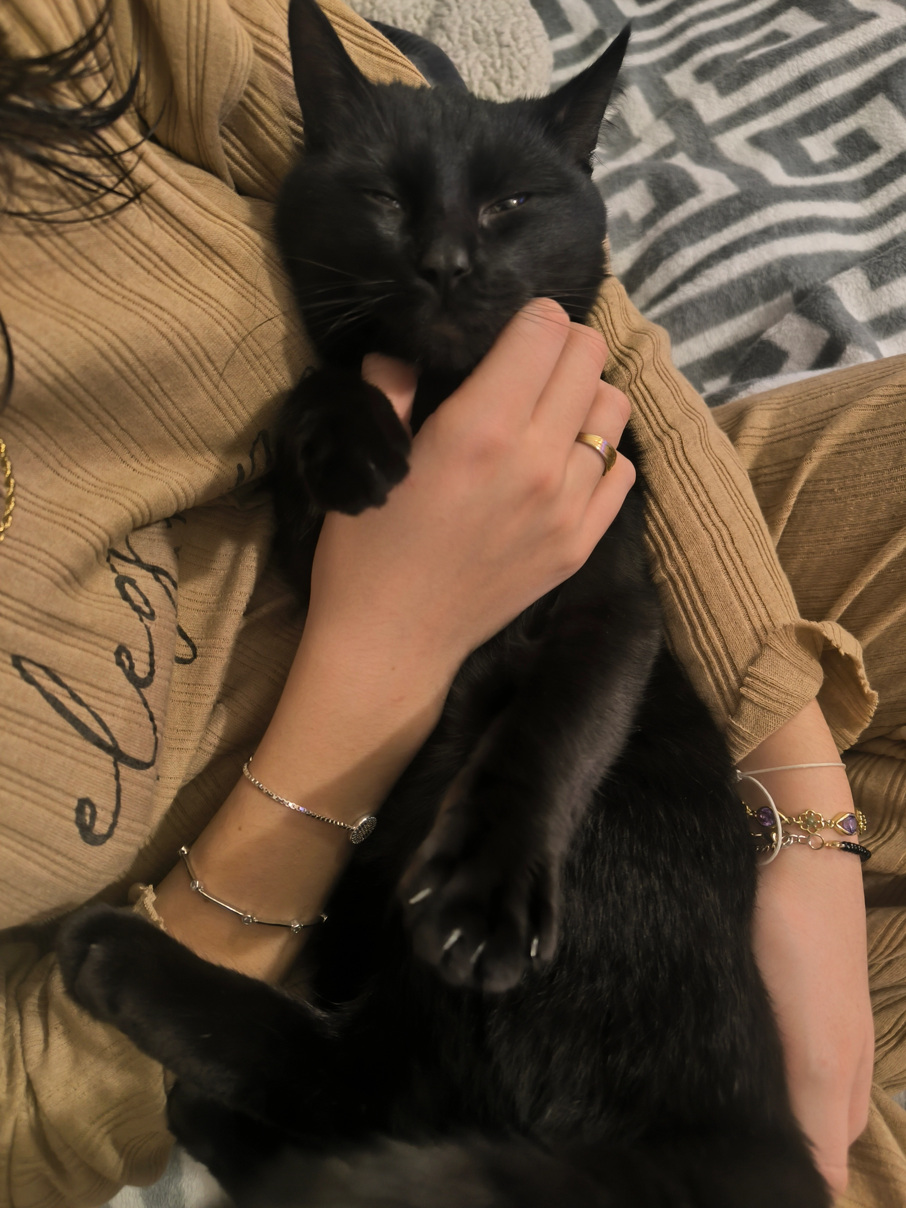 Baghera - 19 Rue du 14 Juillet, Flers