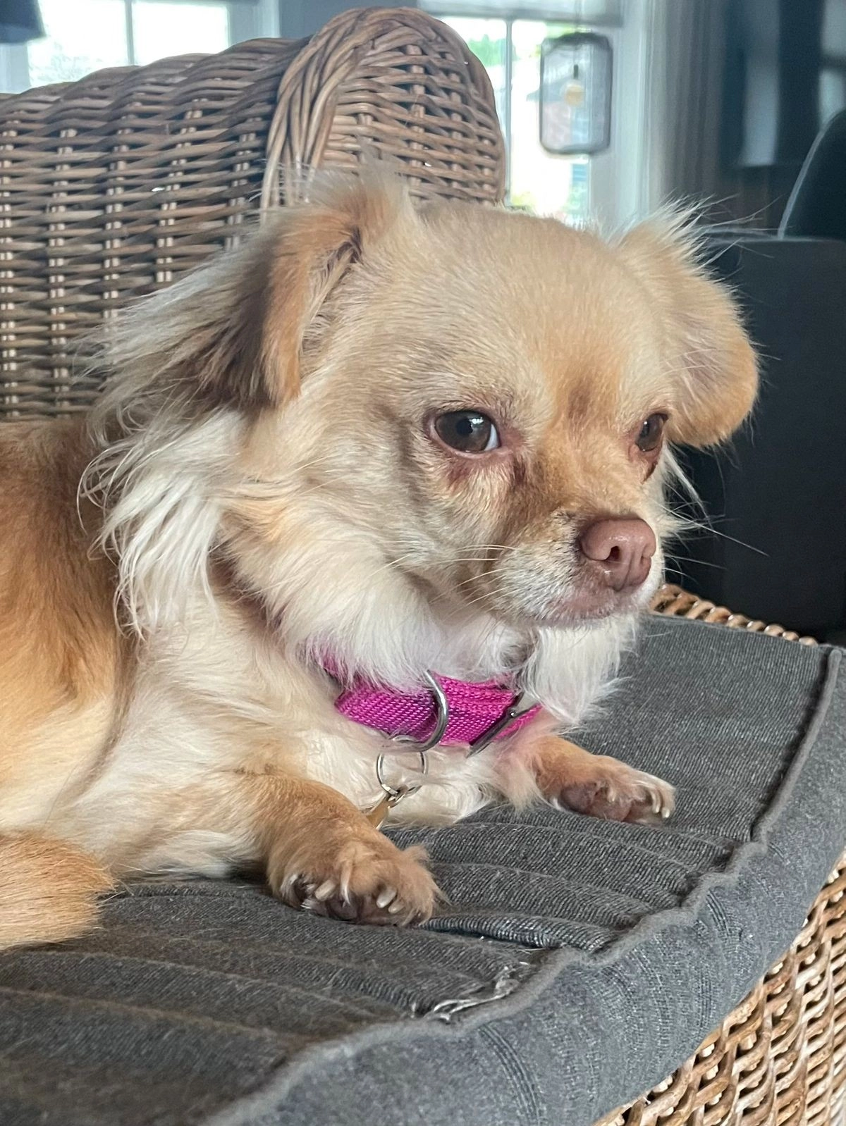 Puck - Akerstraat-Noord, Hoensbroek