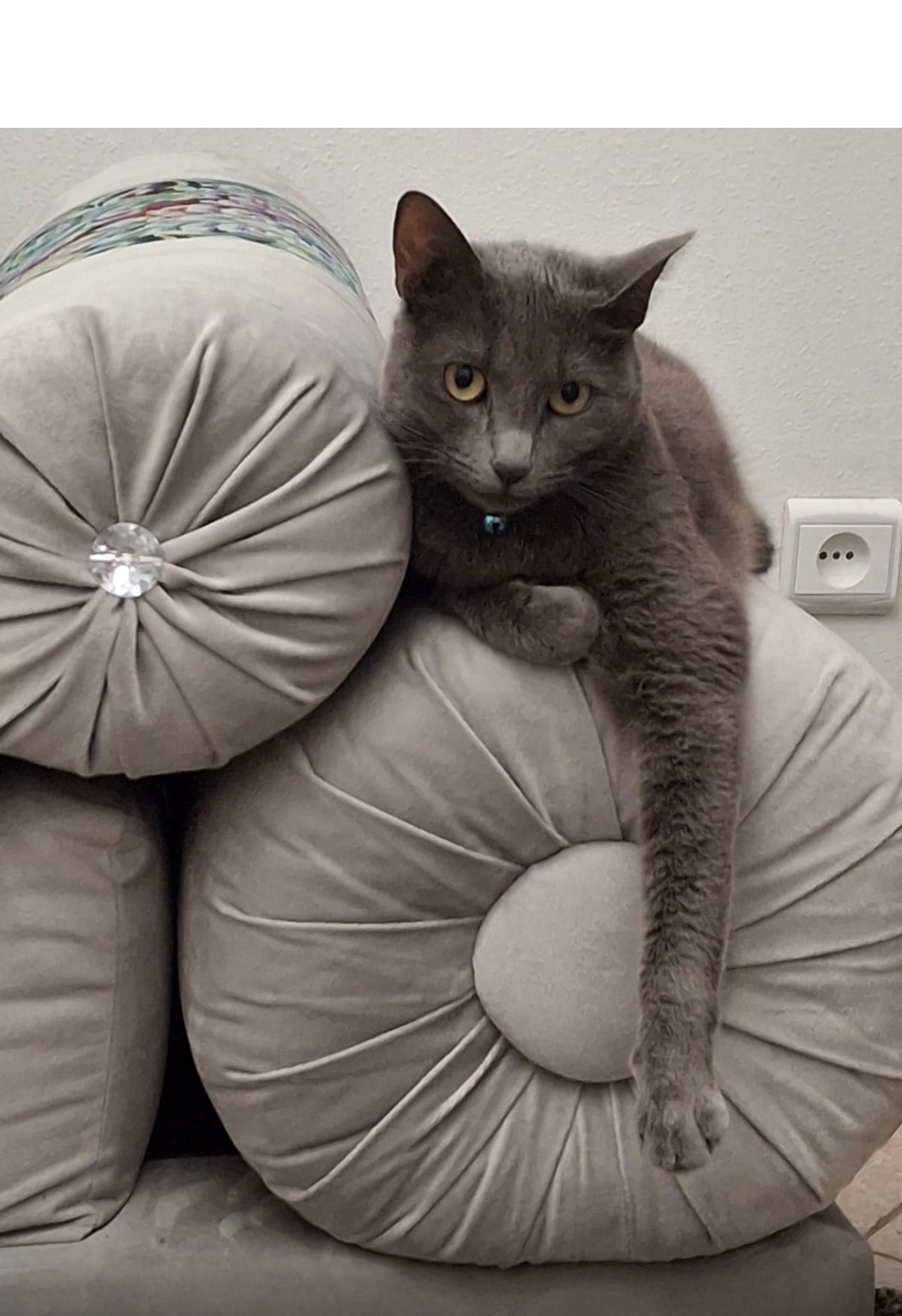 Mimi - El Jadida - Safi, Ouled Hcine