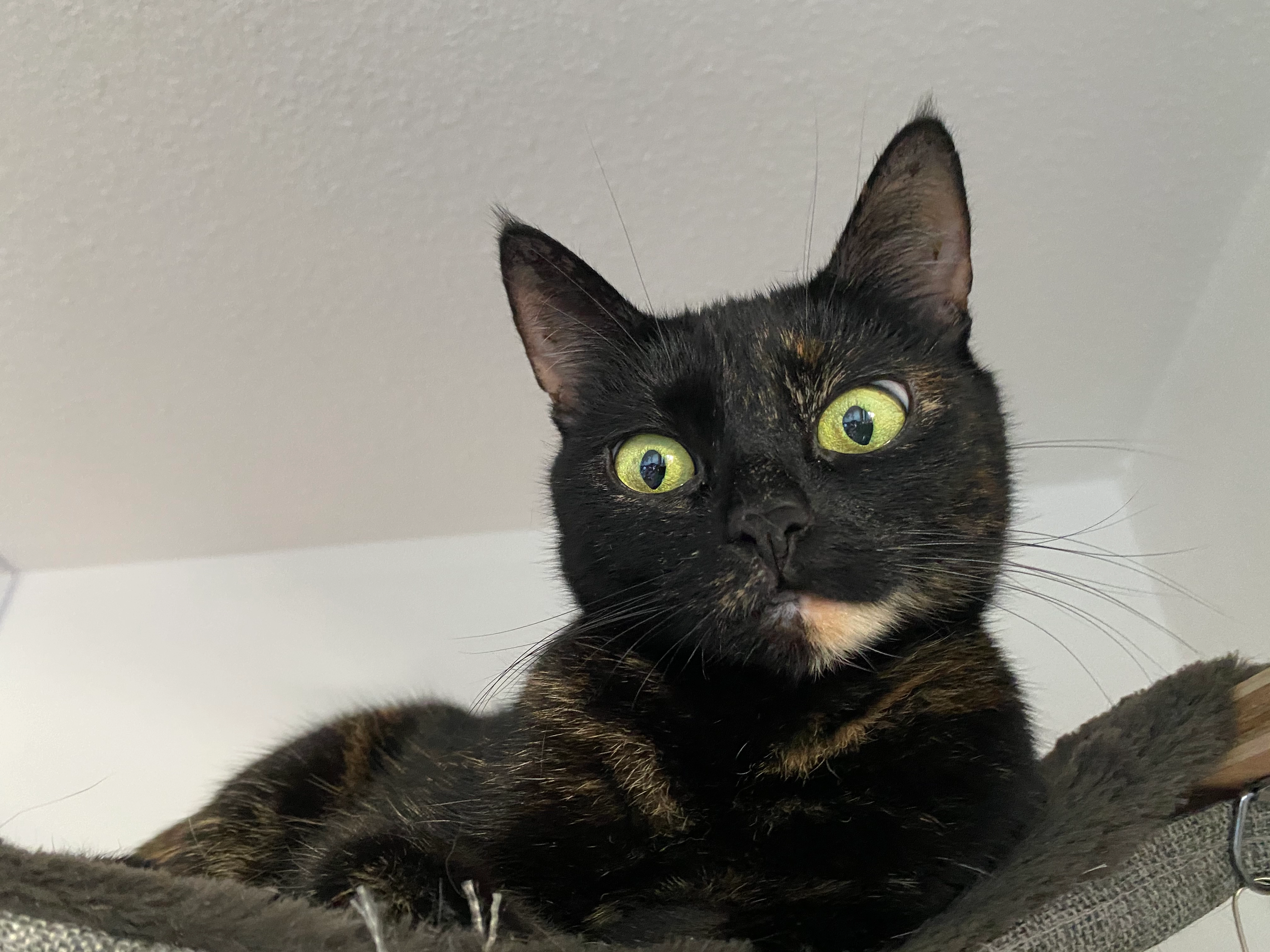 Lotte - Ihleweg, Puchheim