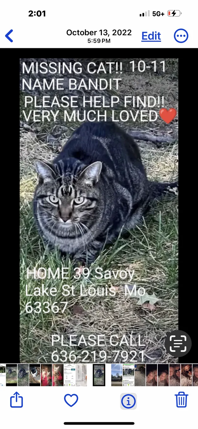 Bandit - 39 savoy, Lake Saint Louis