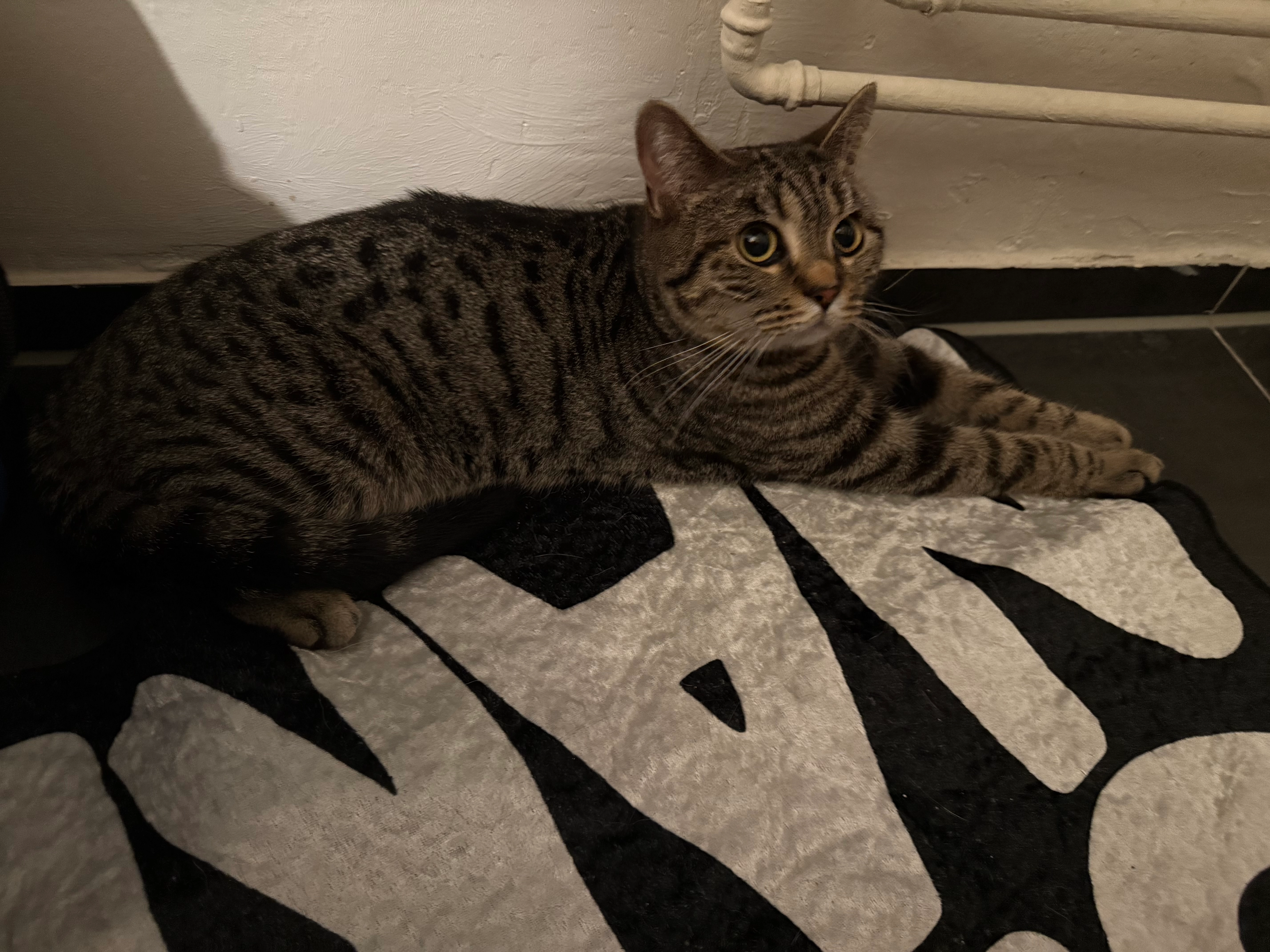 Unbekannt - Uffelnsweg, Hamburg