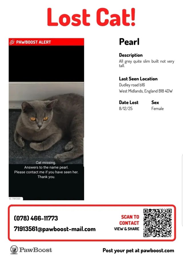 Pearl she's a cat - Chiswell Road, Birmingham