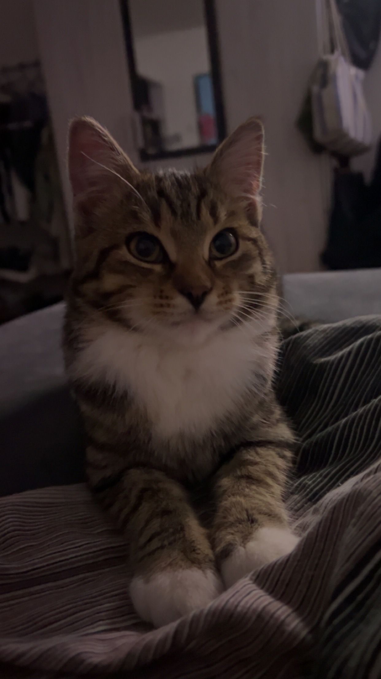 Cooper - Jaiding, Roßbach